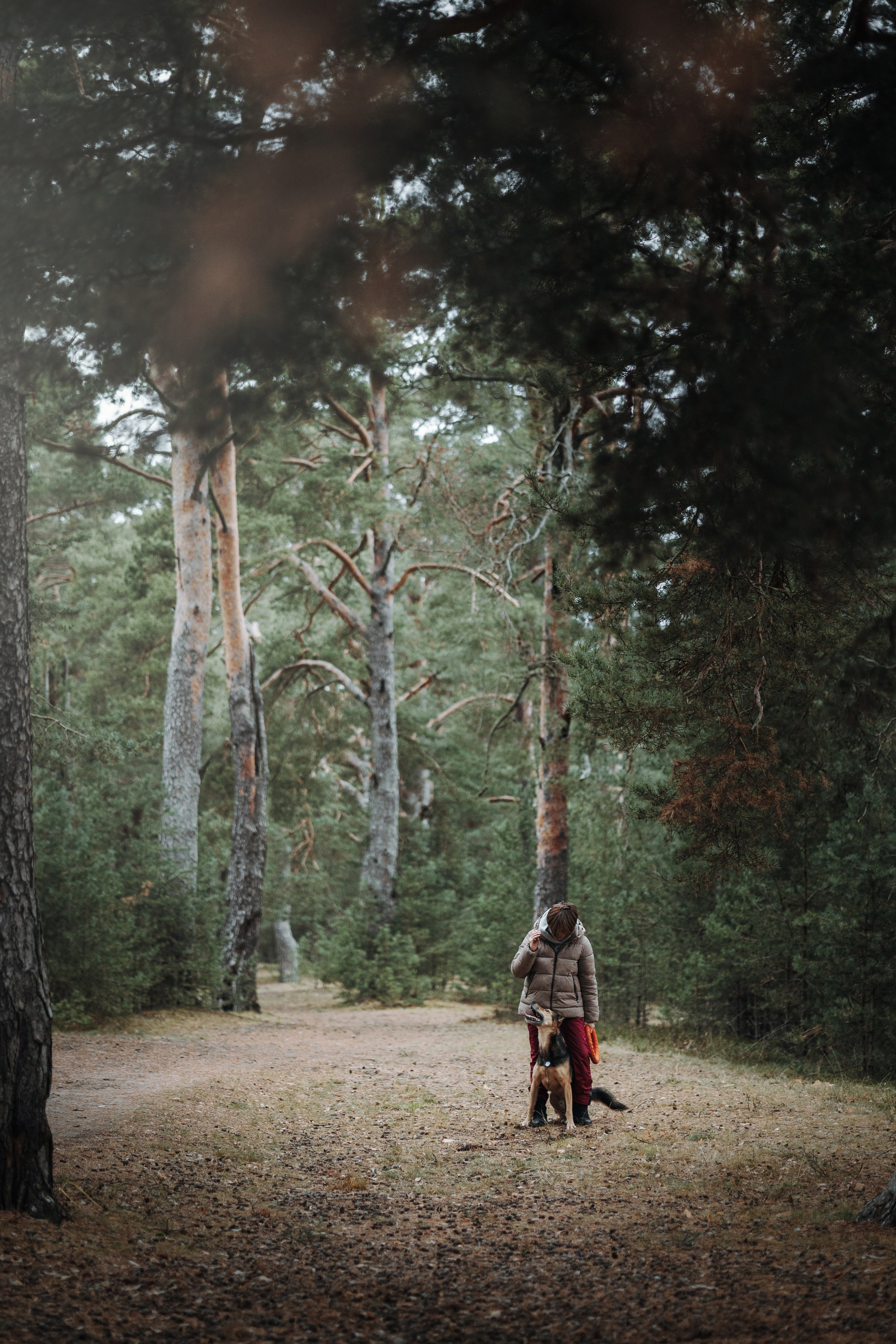 Наталья и Того. Фотограф — Анималист | Санкт-Петербург