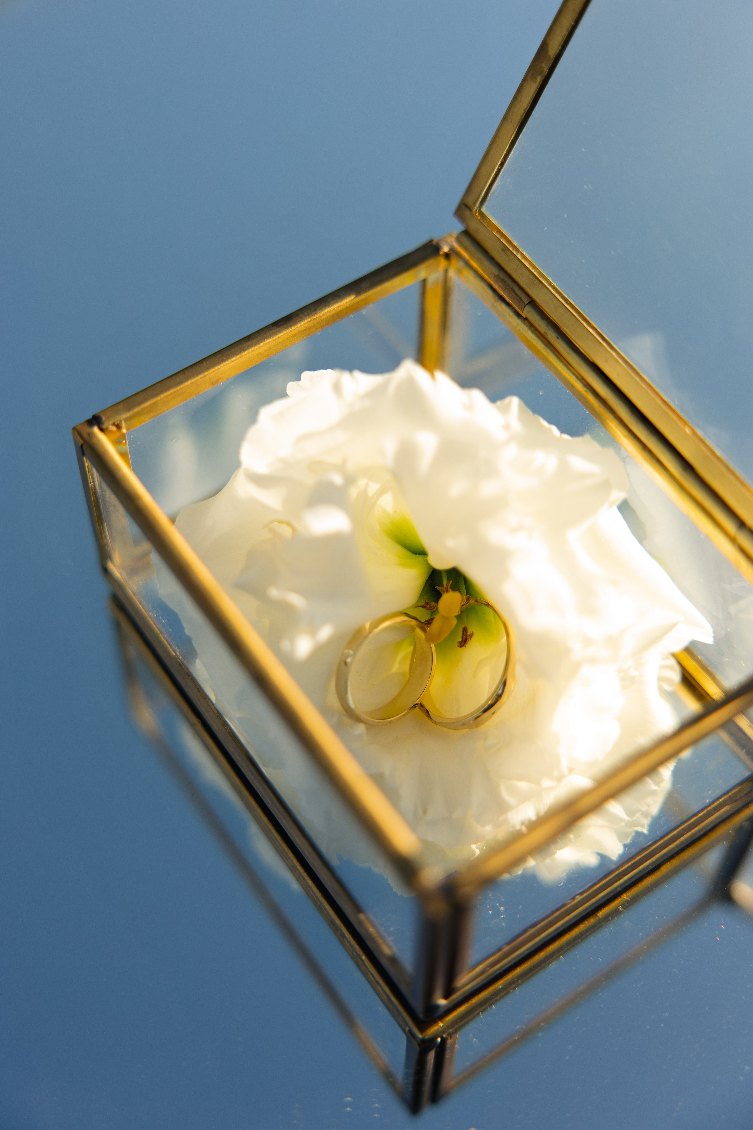 Моё сердце остановилось, mon amour — Ария