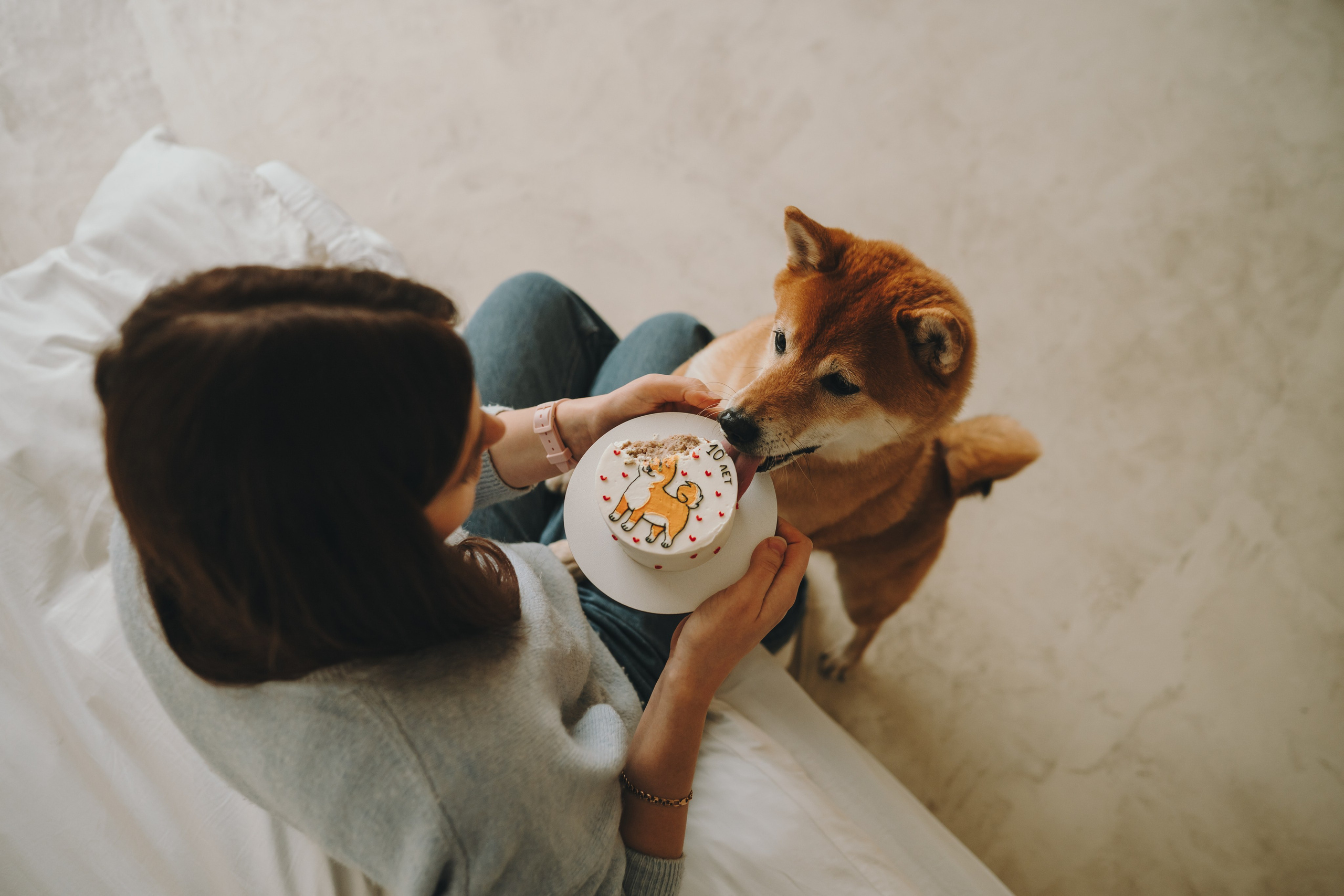 День рождения Кексика. Семейный фотограф анималист Ананьева Мария — Москва