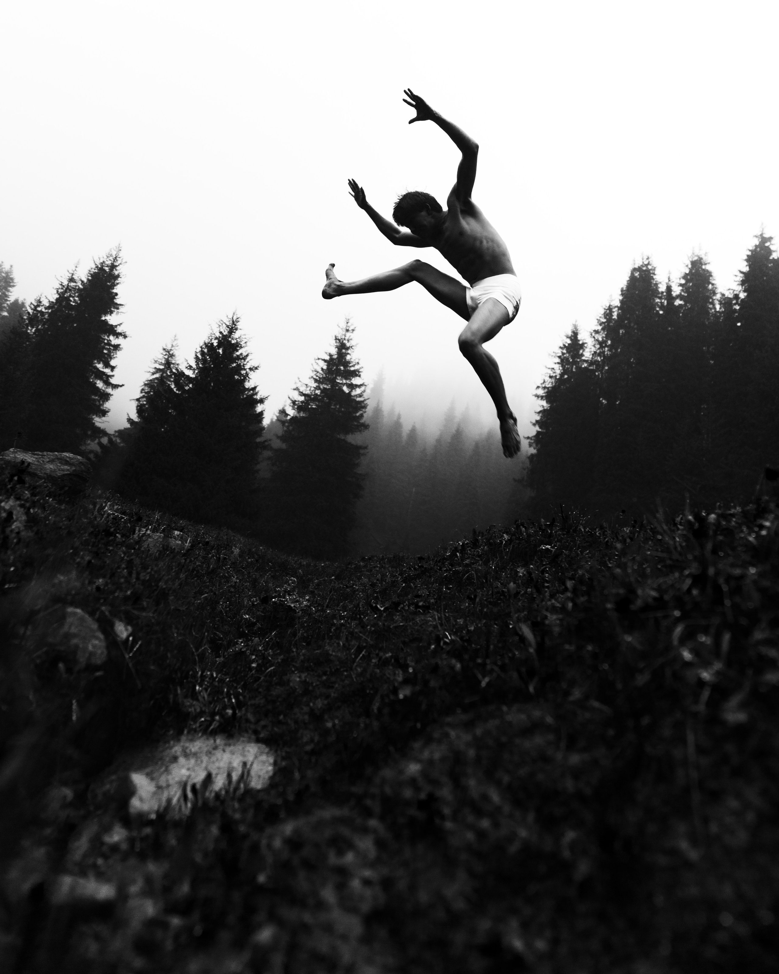 Alpamys / Art project / Sony Kz