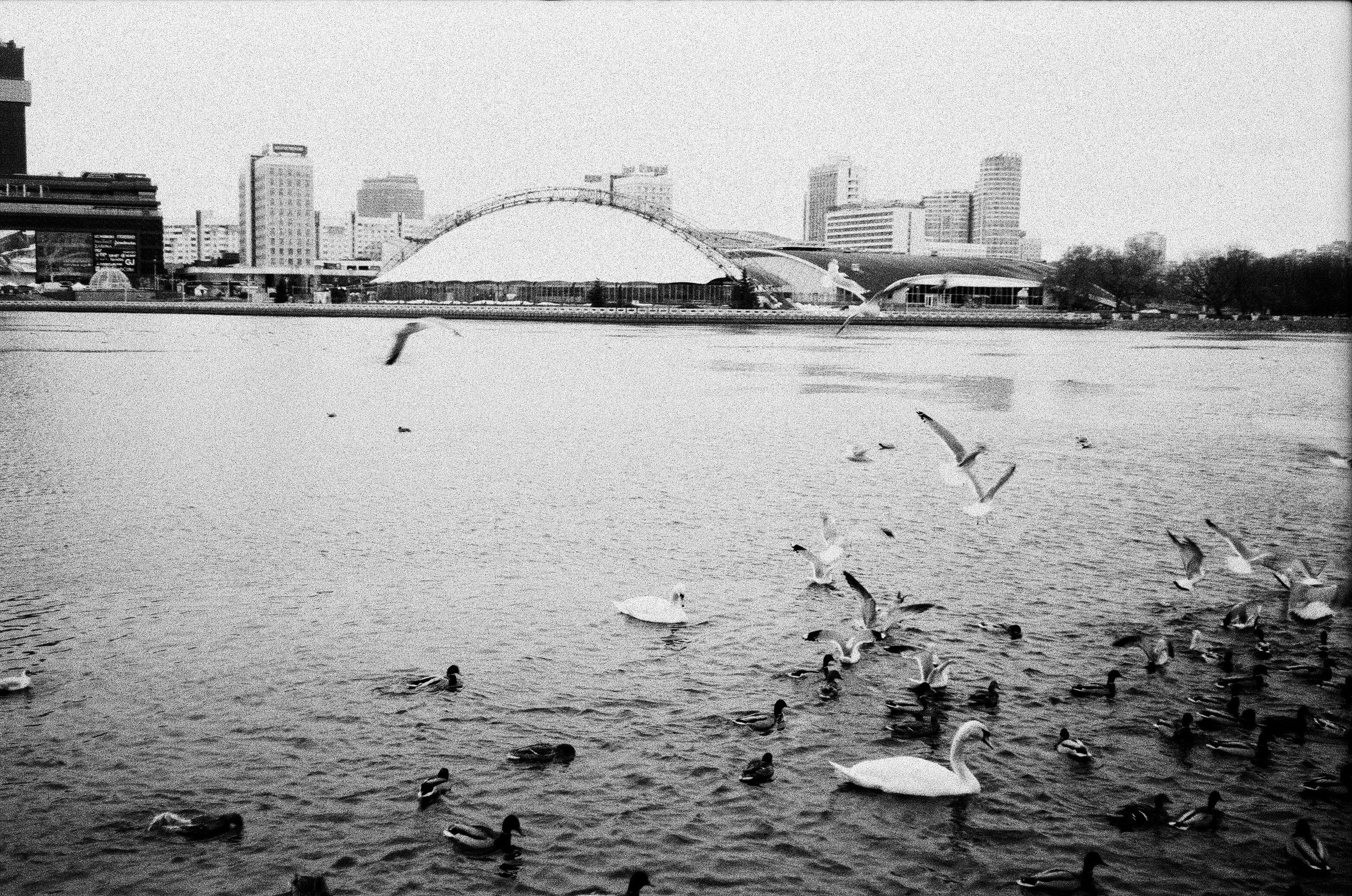 Вояж. Фотограф — Маслеников Константин