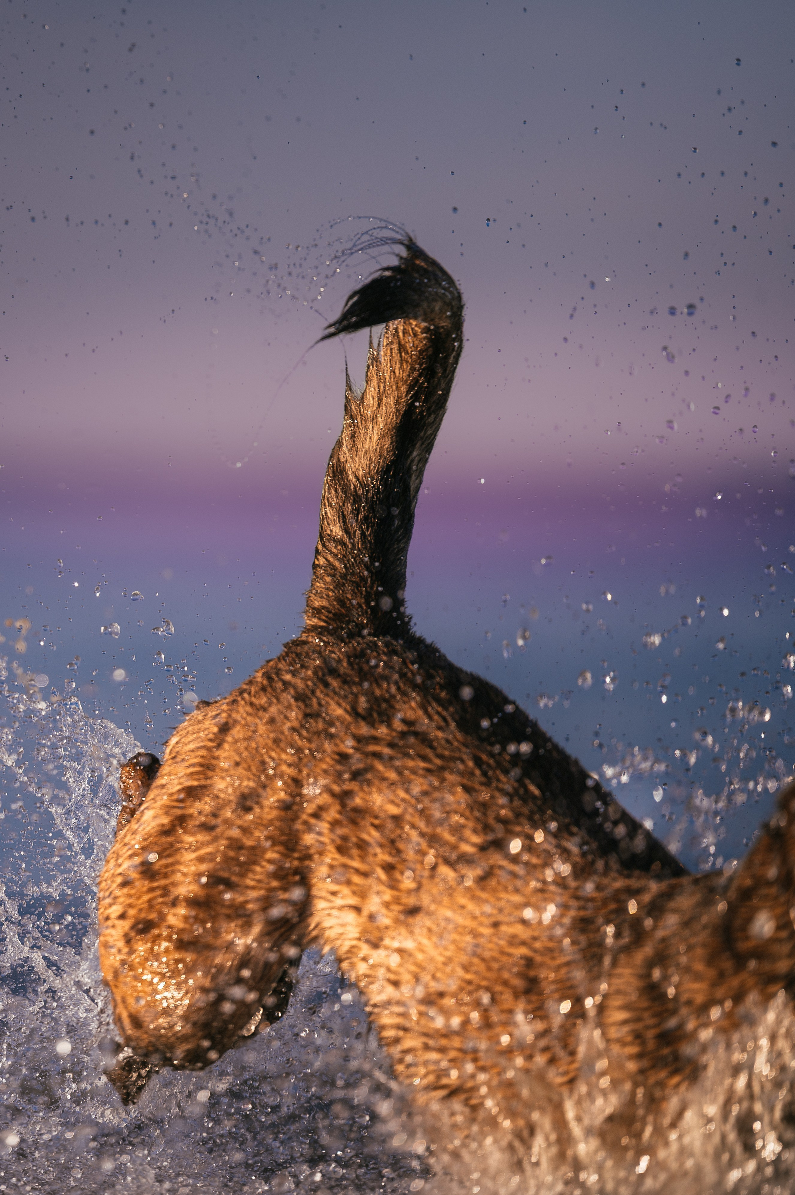Вечер на заливе. Фотограф в Ростове —на — Дону