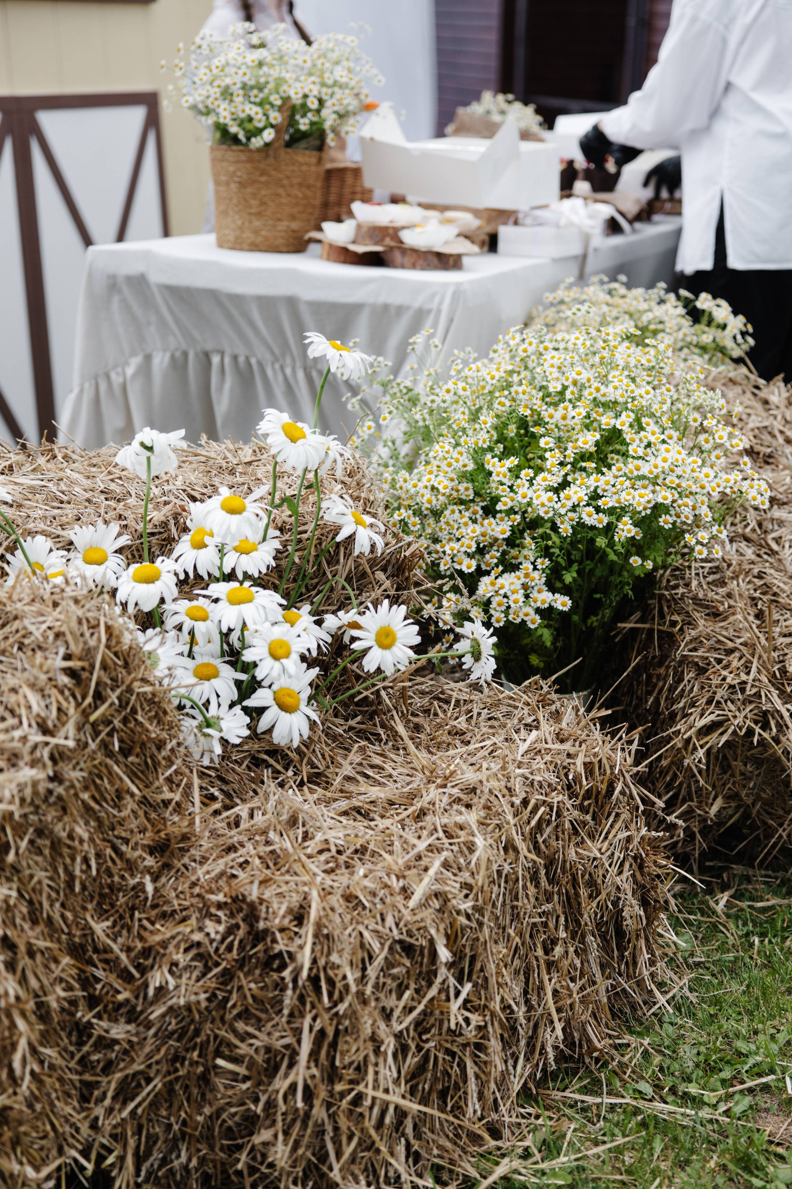 ГЕНДЕР ПАТИ. Фотограф в Красноярске