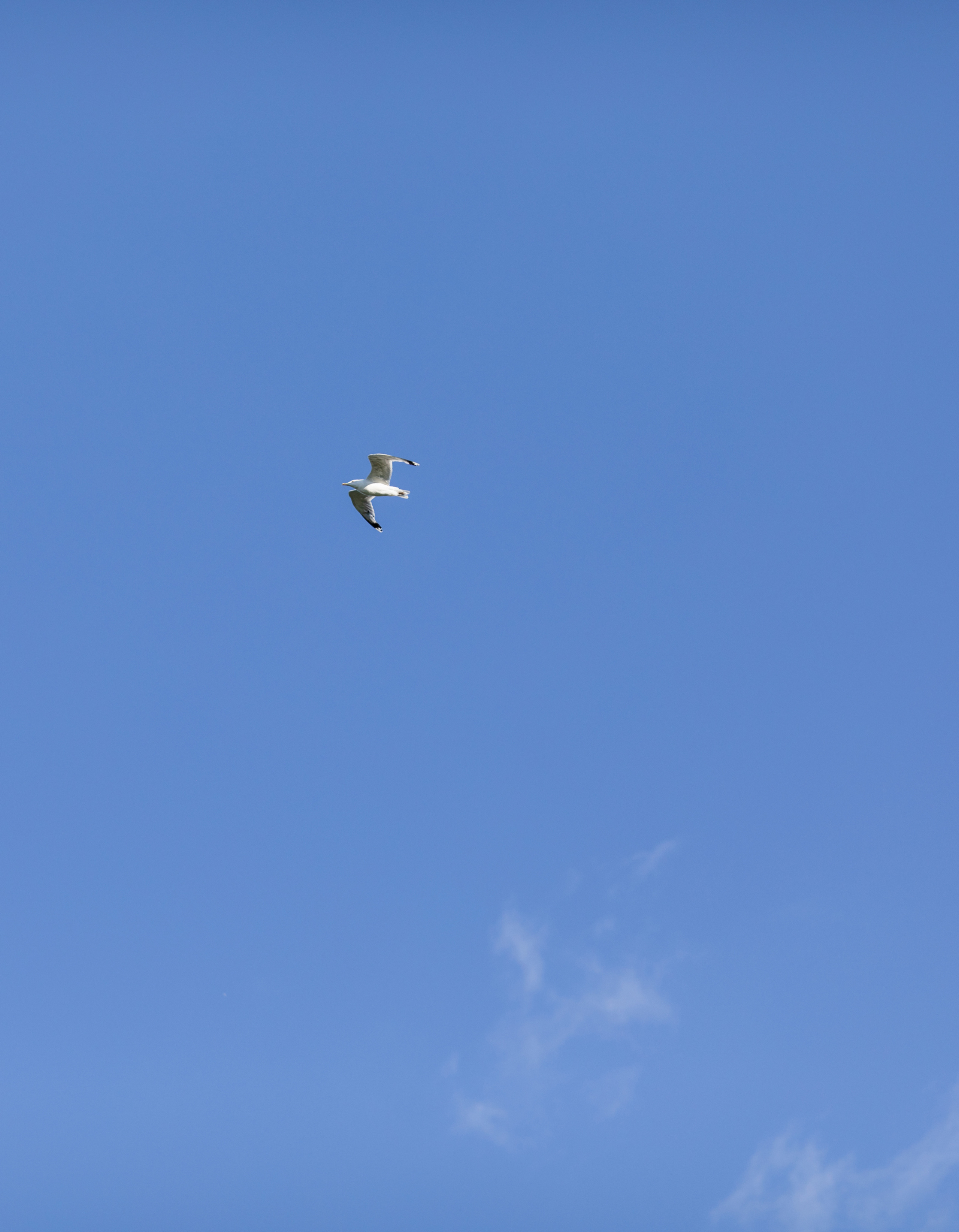 Данила и Татьяна. Фотограф Вера Зенина