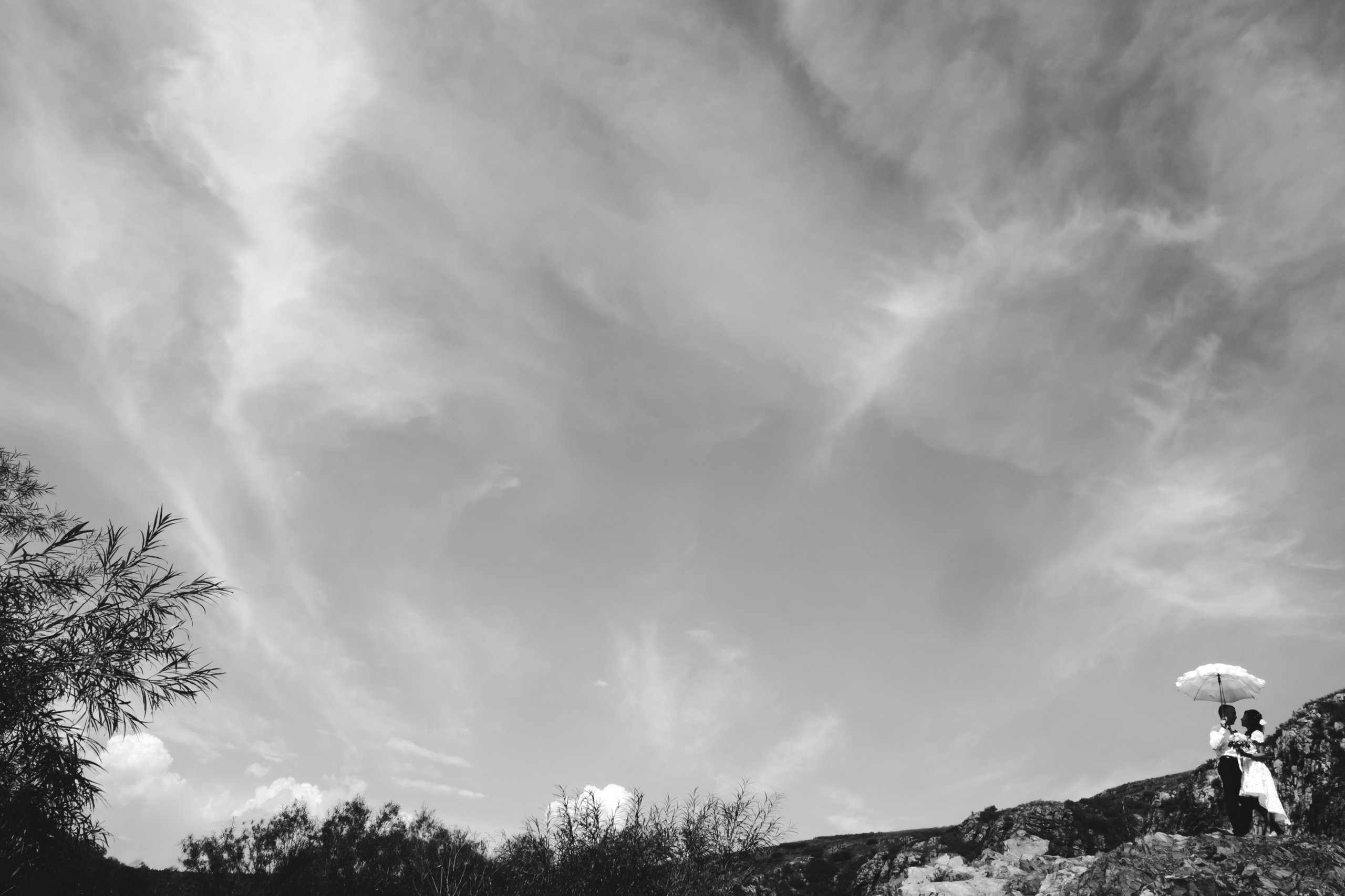 Wedding&Love Story. Фотограф в Коломне, Рязани, Москве. Готовность фото на следующий день