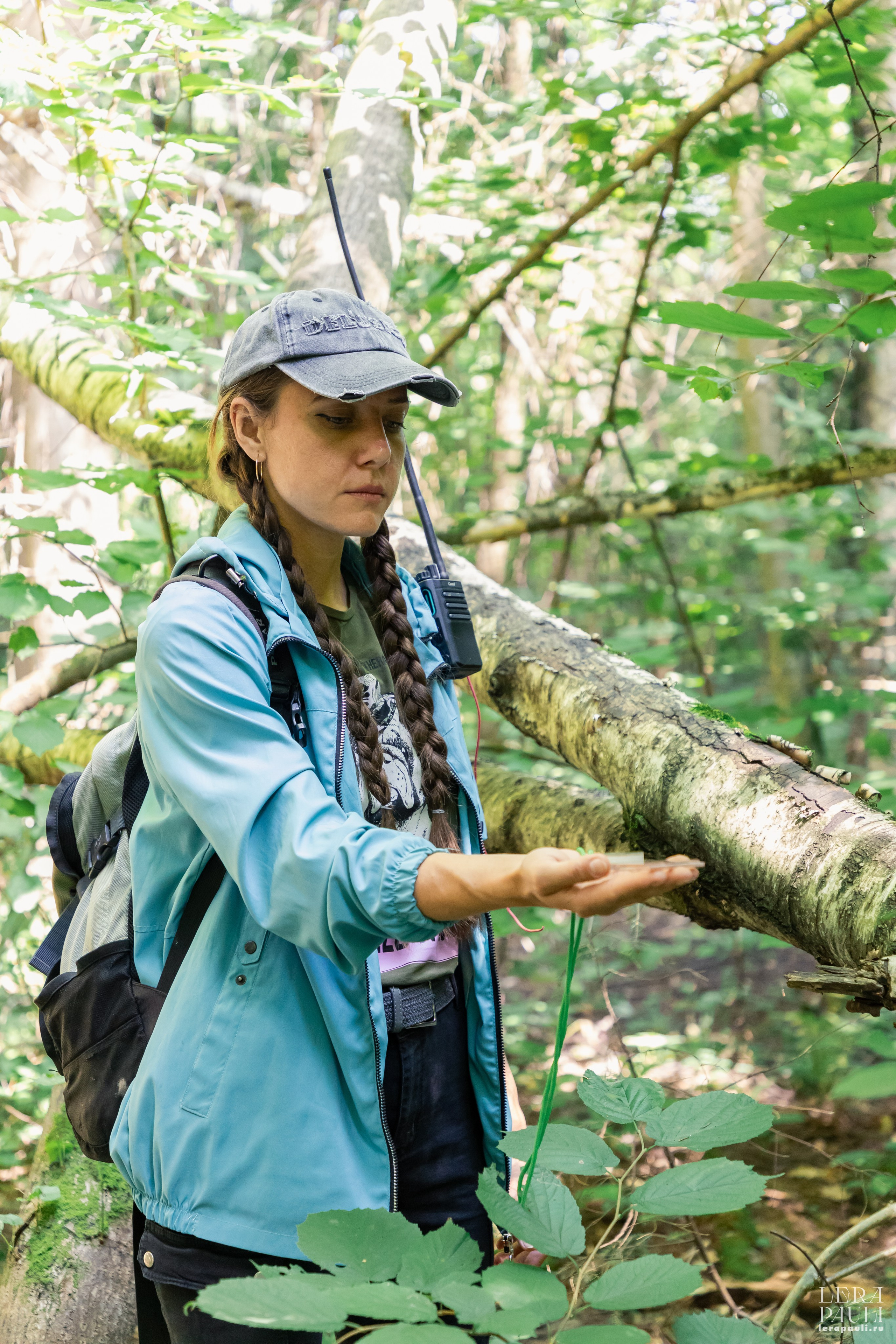 ДПСО «ЛизаАлерт». Главная