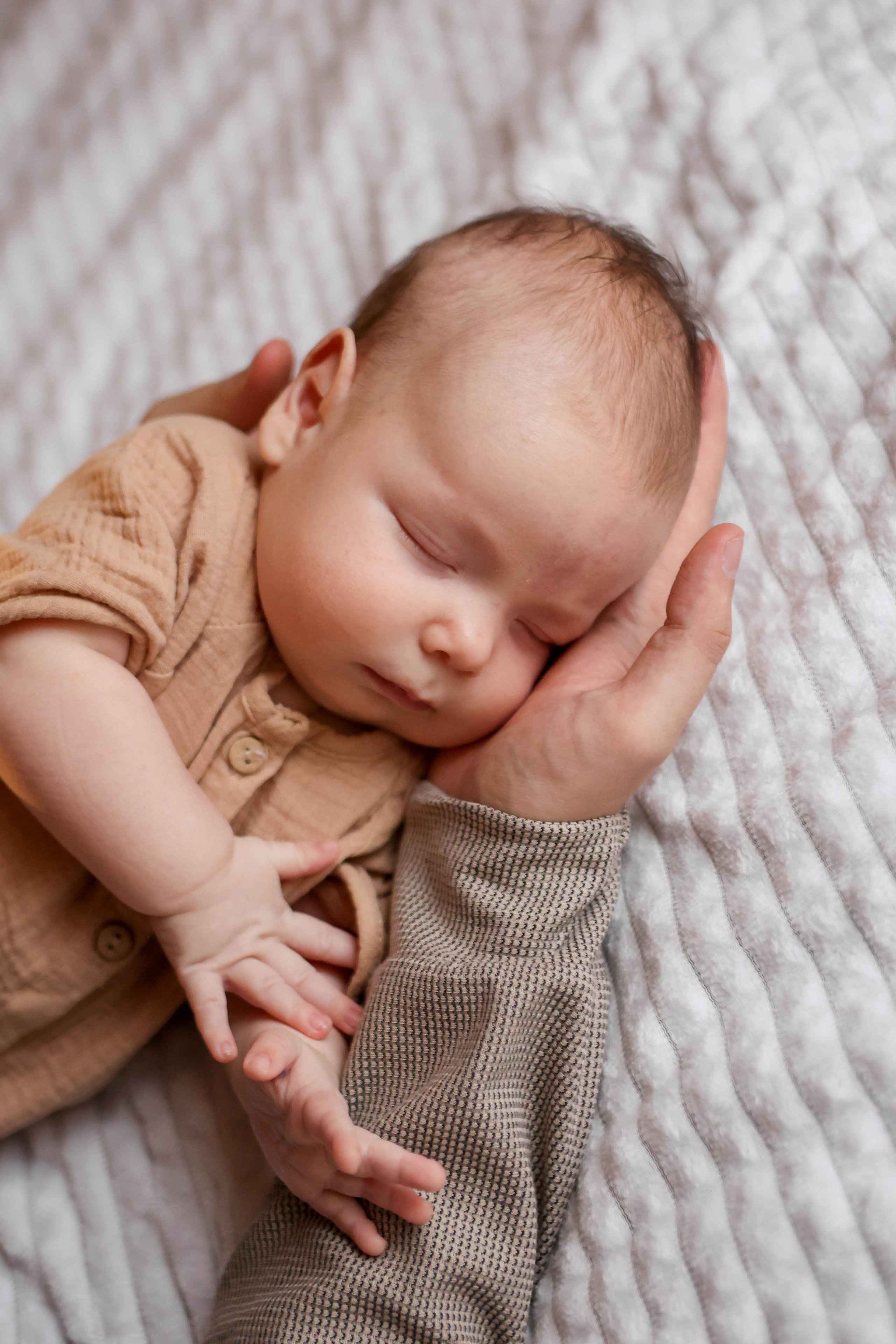 Тимоша. Наталья Косьянова. Ваш фотограф. Москва