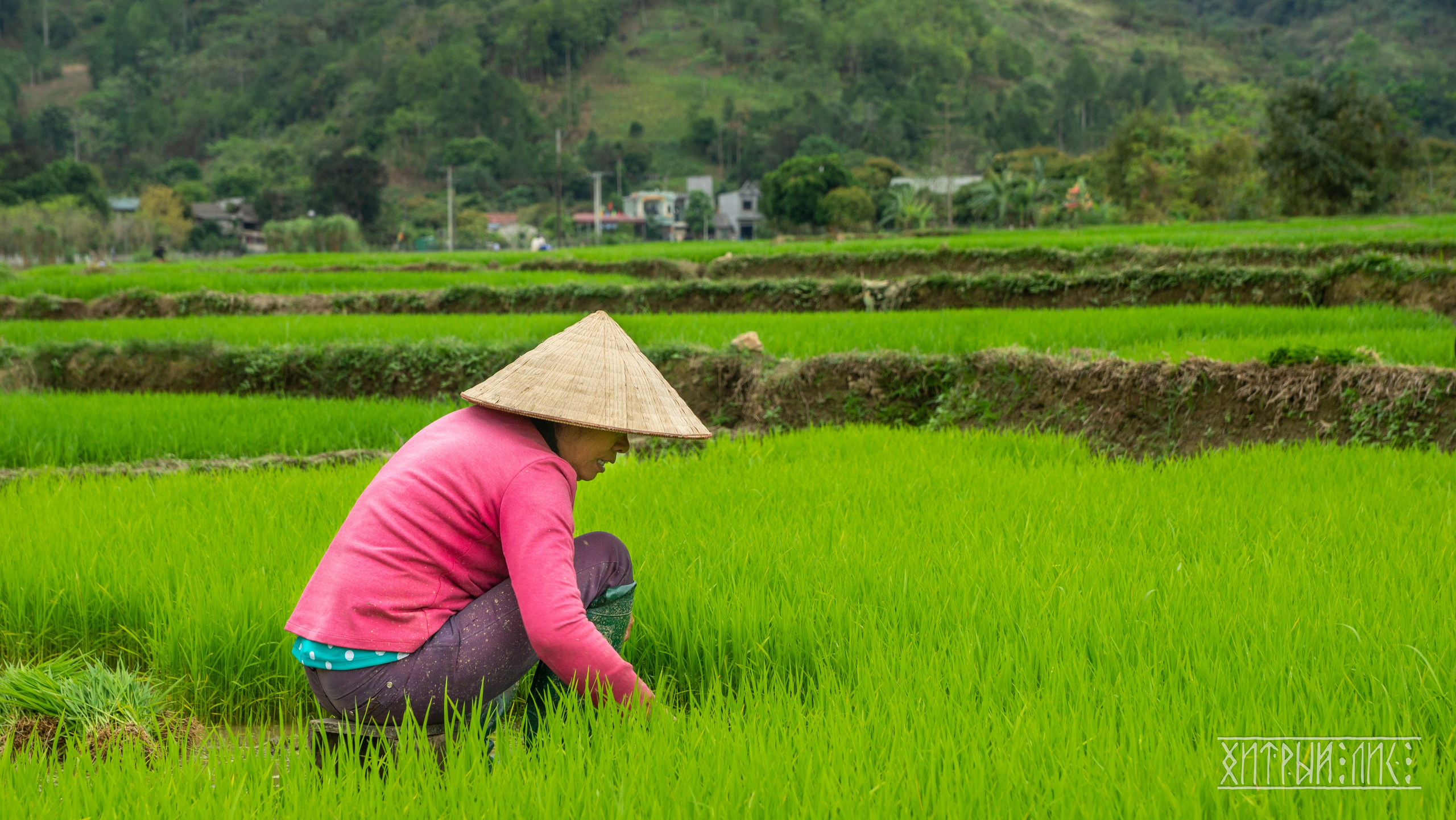Вьетнам. Фотограф-путешественник Самойлов Максим «Sly Fox»