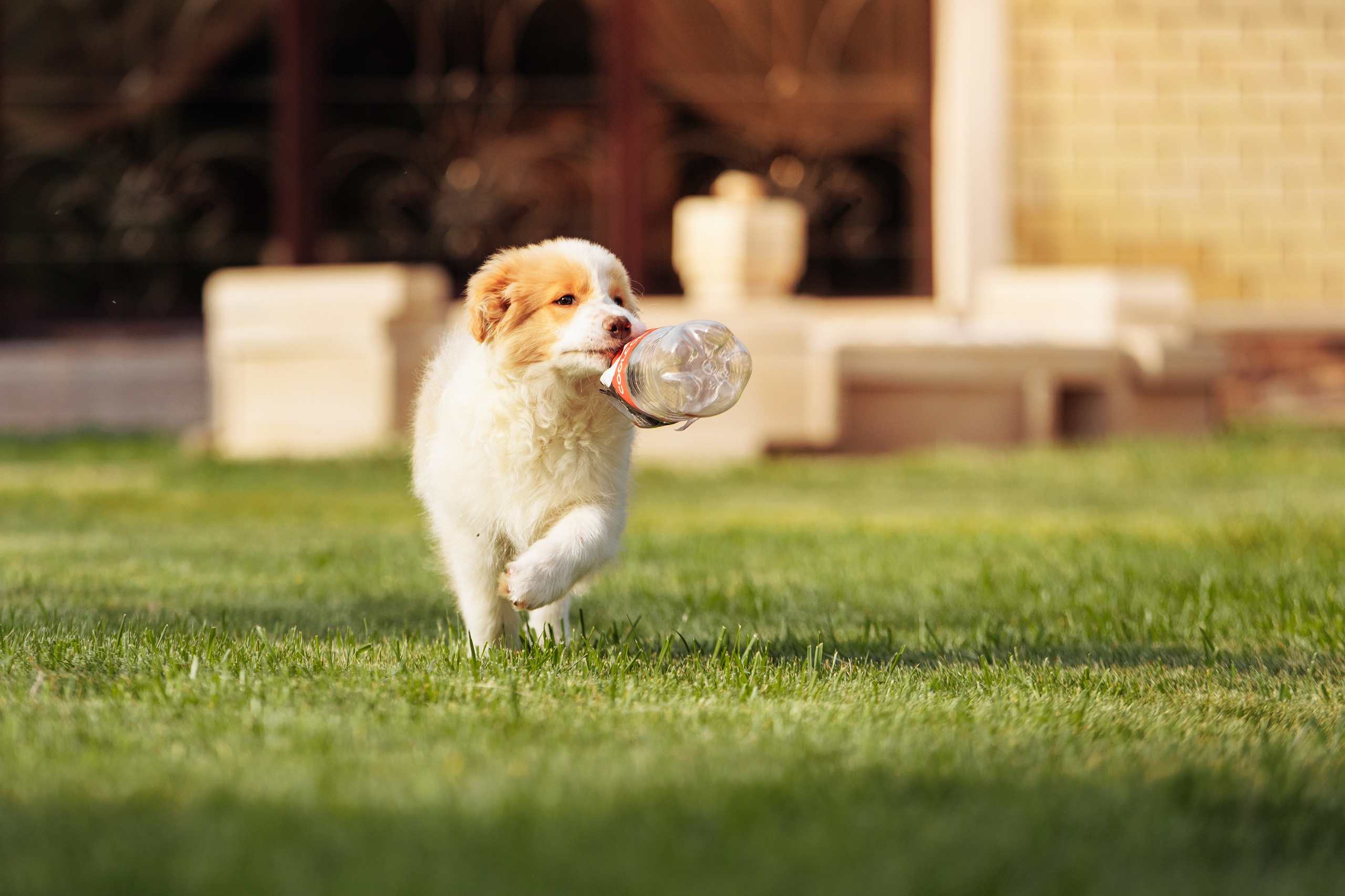 СОлнечные. О нас