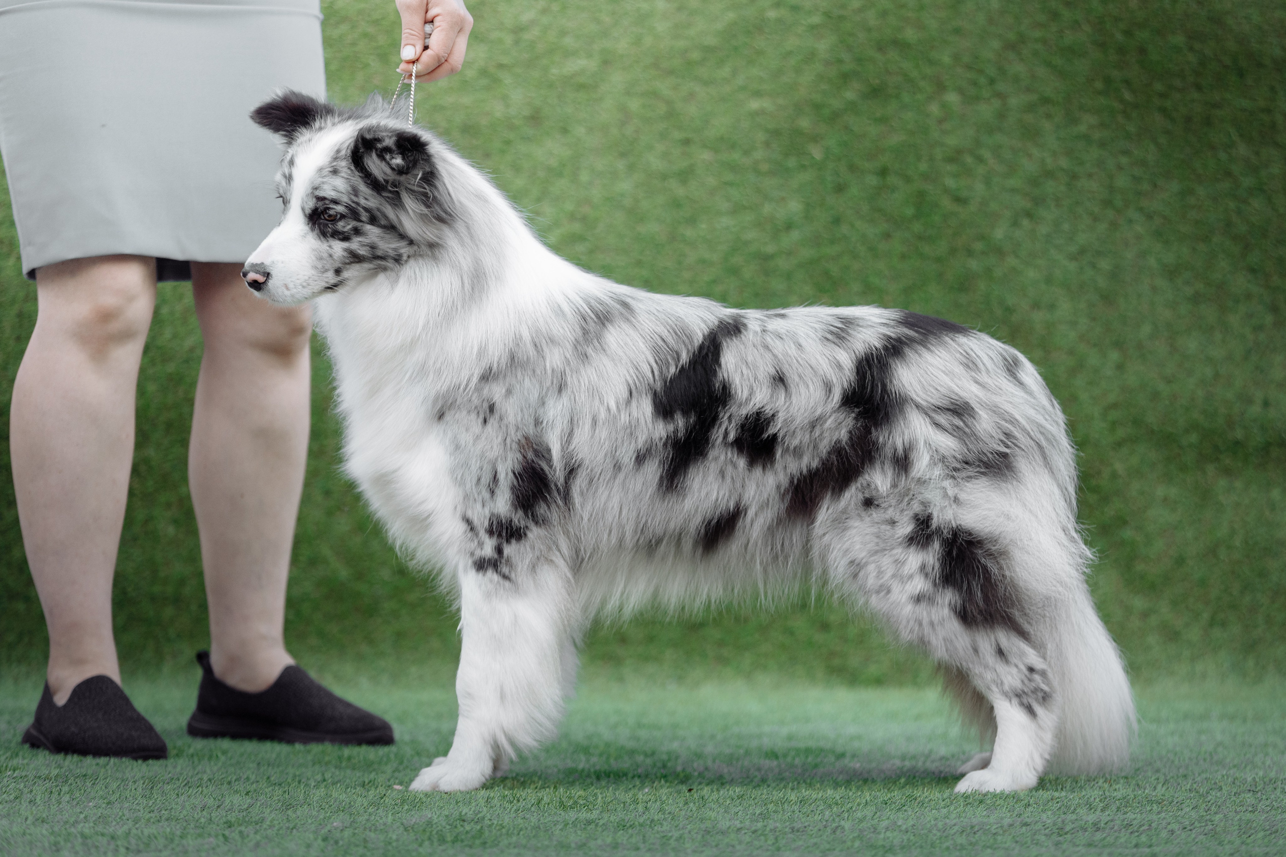 Свое место. О нас