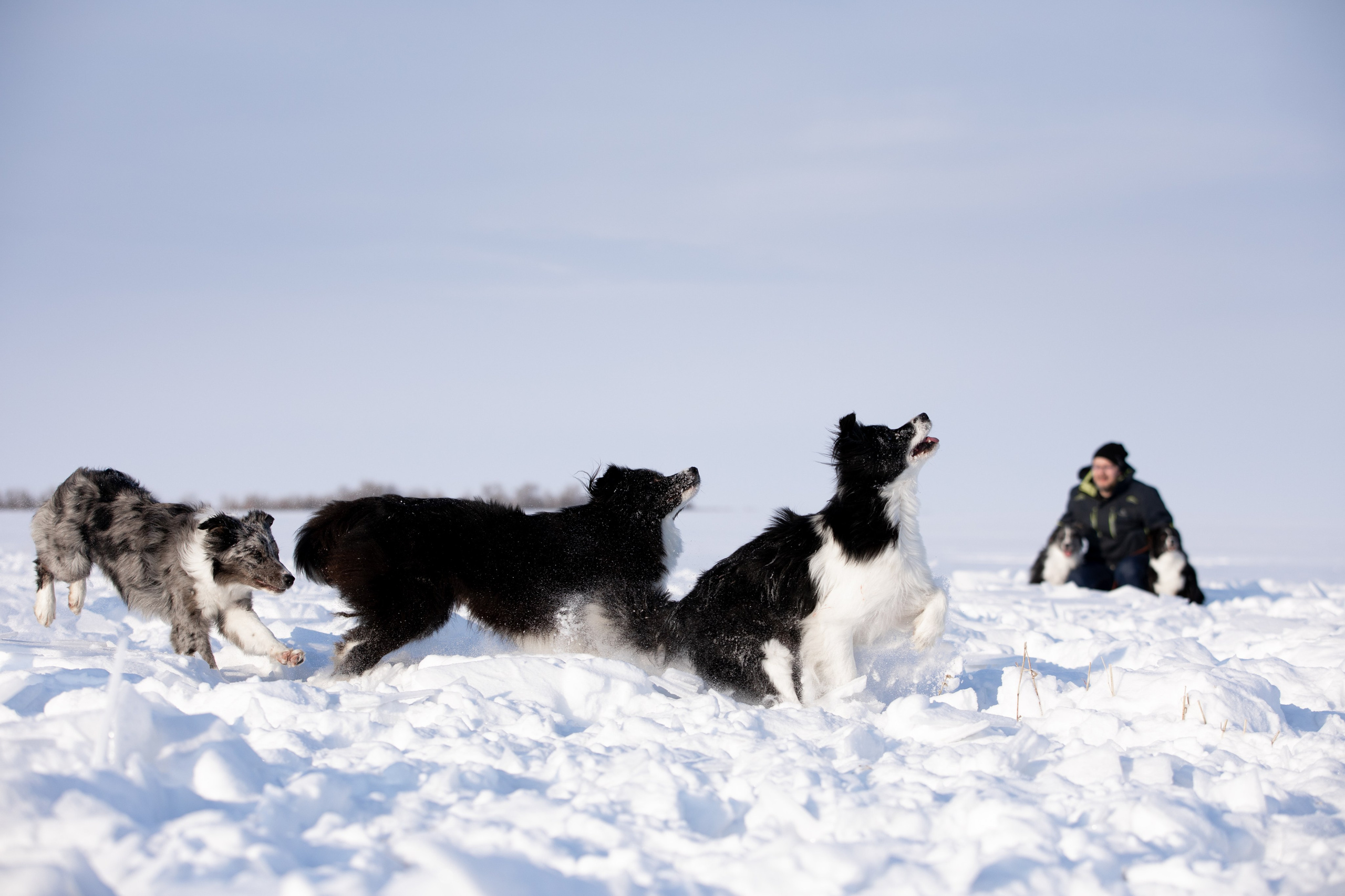 Мороз и солнце. О нас