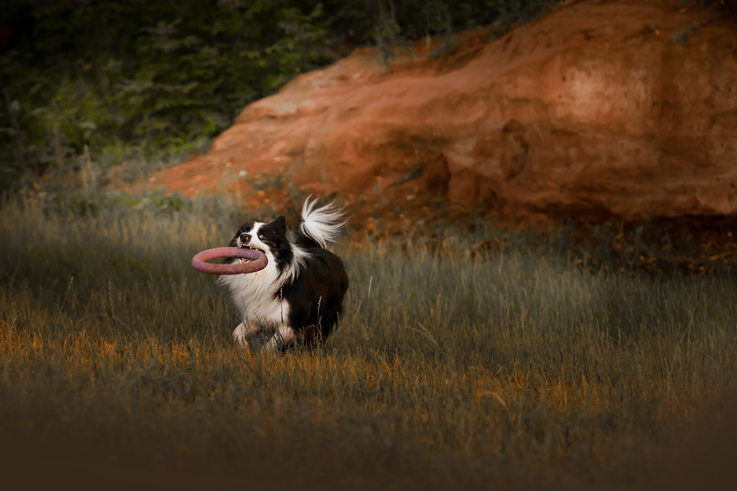 Сочный рассвет, на который решились. О нас
