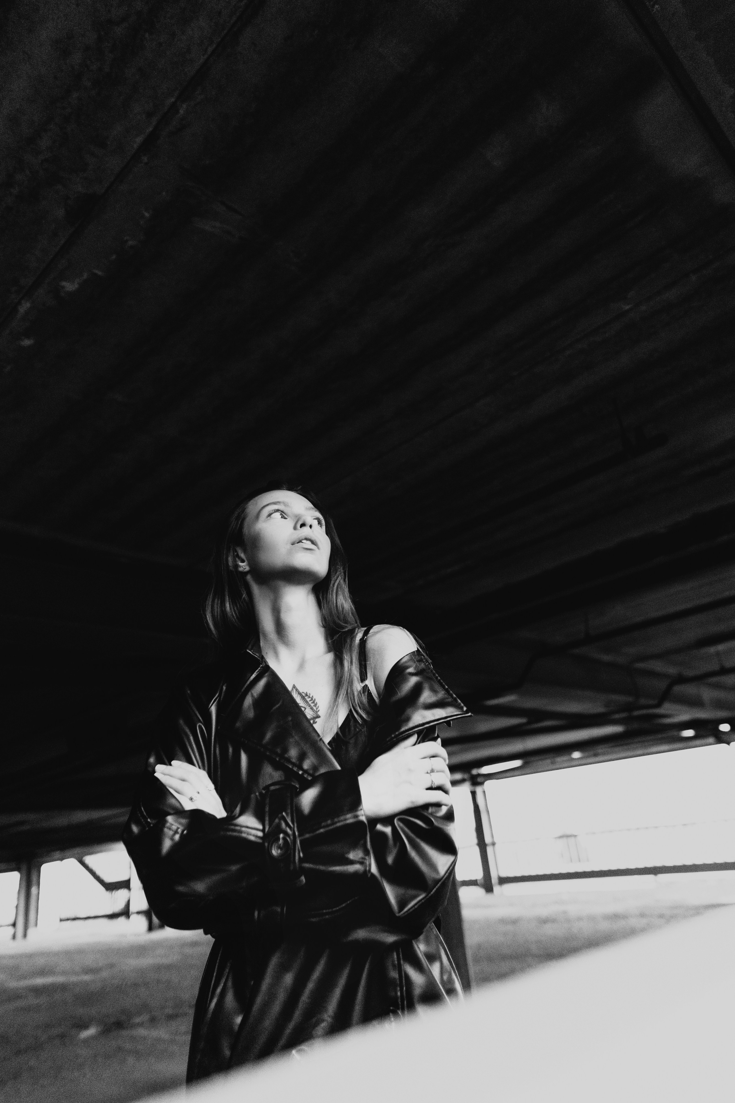 Анастасия. Дмитрий Пропадалин, Нейрофотография