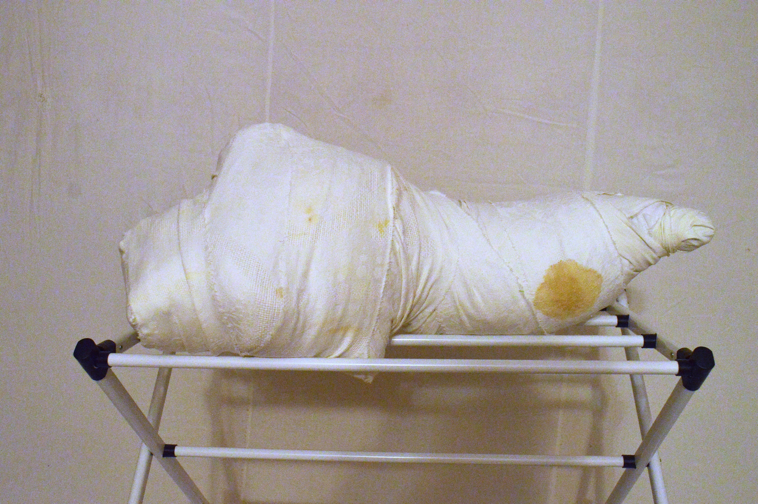 (Не)античные торсы 2025. Лилия Ким. Междисциплинарный художник