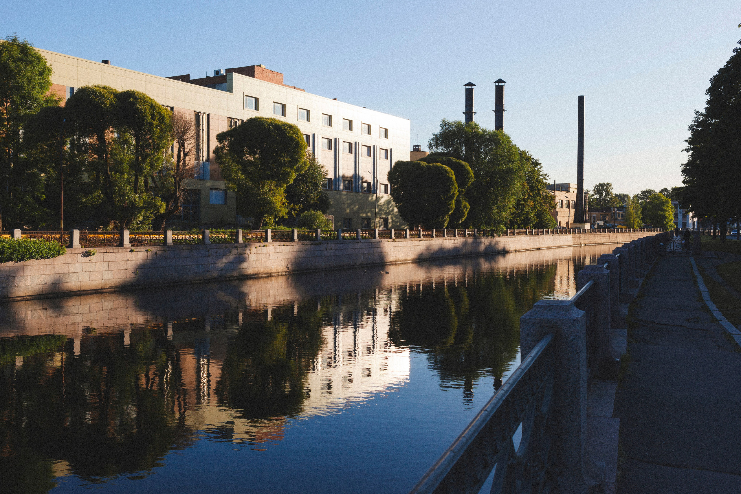 Фотовыставка в Санкт-Петербурге "А где ты гулешь с собачкой, если живешь в центре?"