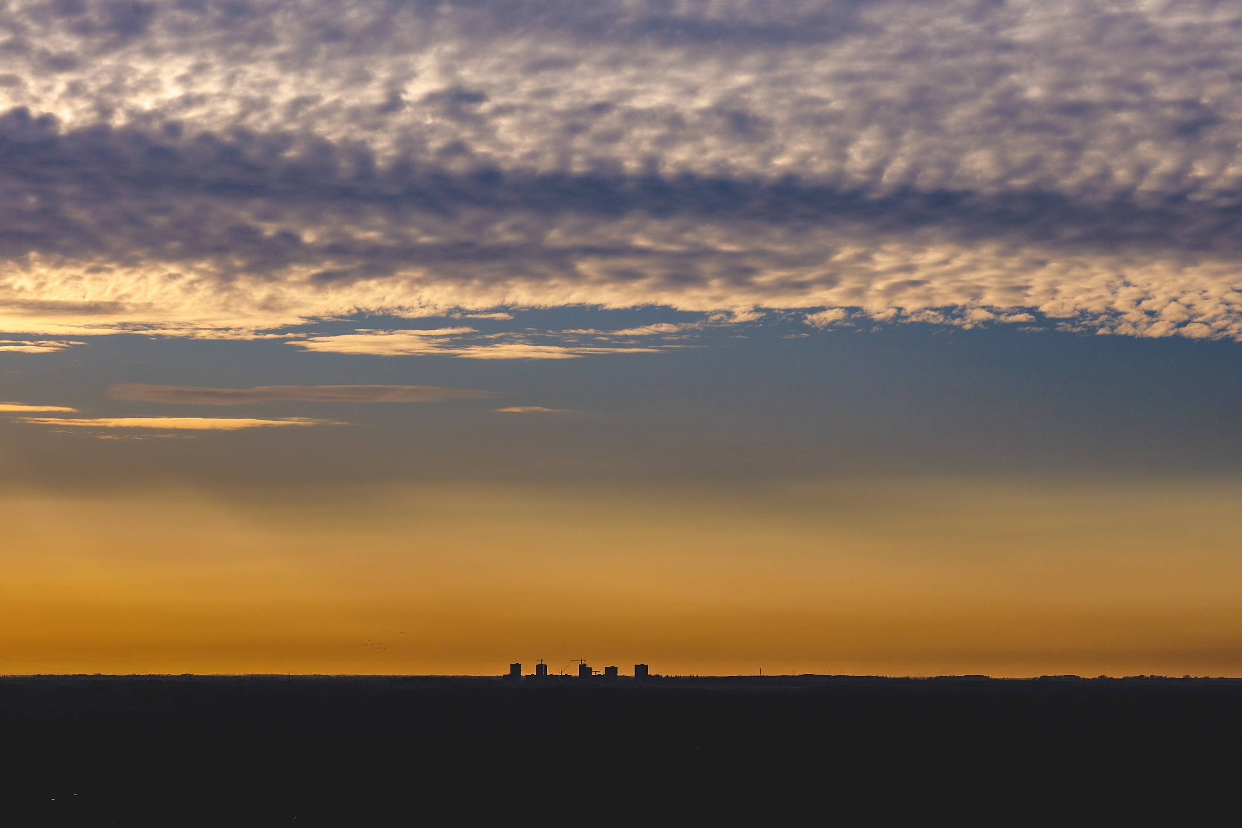 Проект «366»|2024|Фото каждый день. LENA GRACE photographer ||ЛЕНА ГРЭЙС фотограф