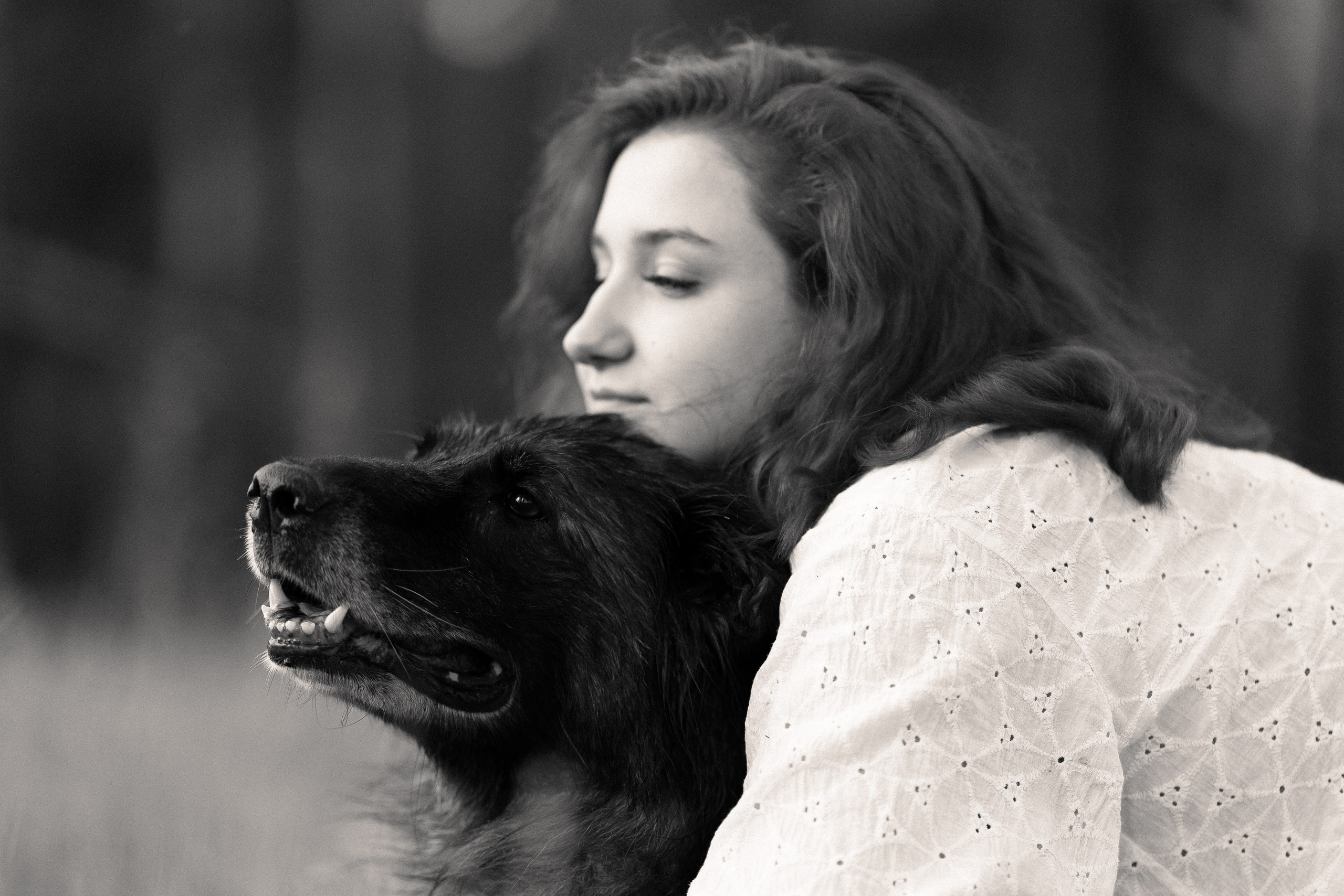 Алена, Фанни и Фрея. Фотограф и видеограф анималист Аганина Дарья