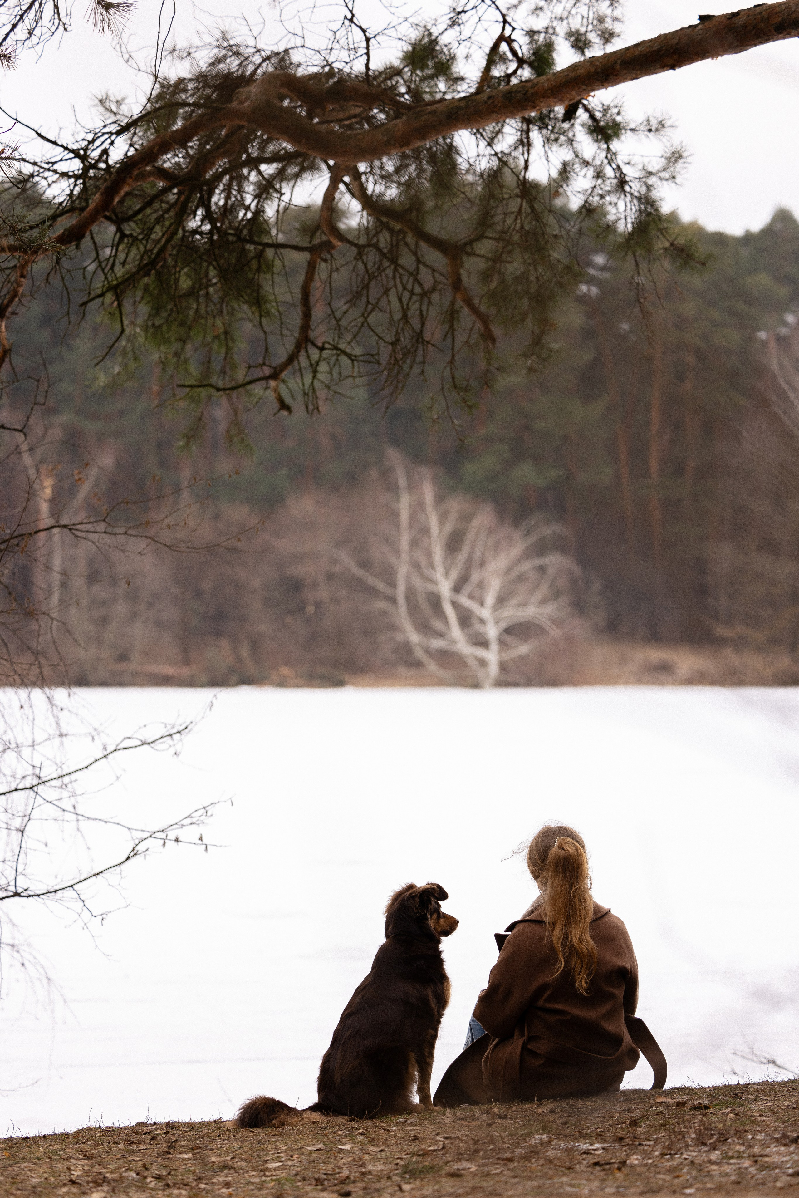 Катя и Мёд. Фотограф и видеограф анималист Аганина Дарья