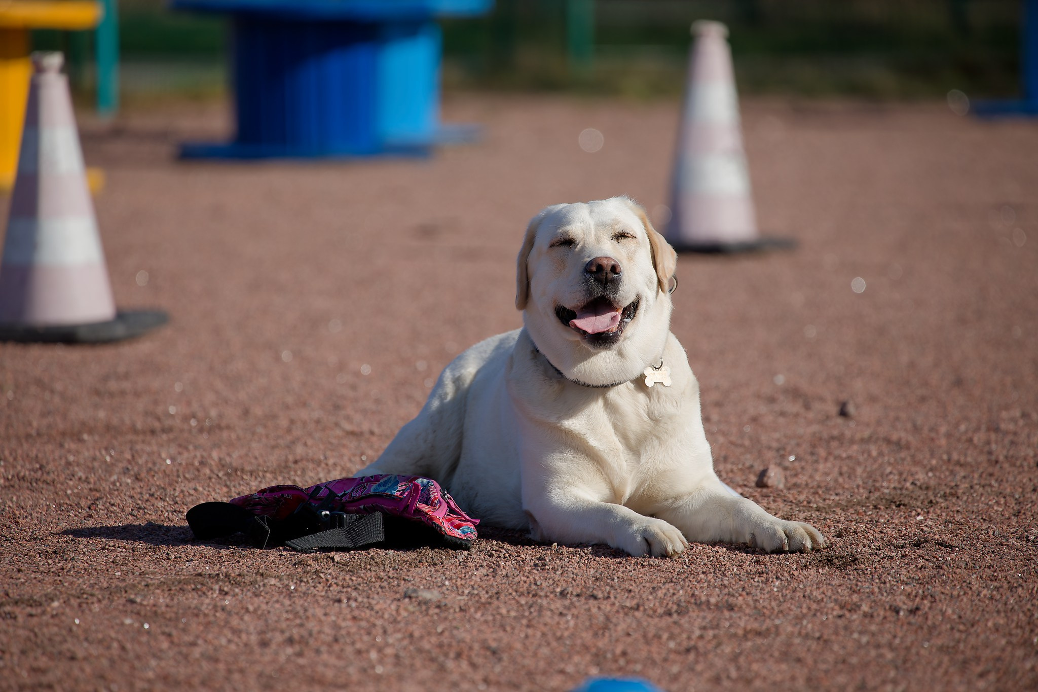 Турнир «Место». Irenephoto.ru