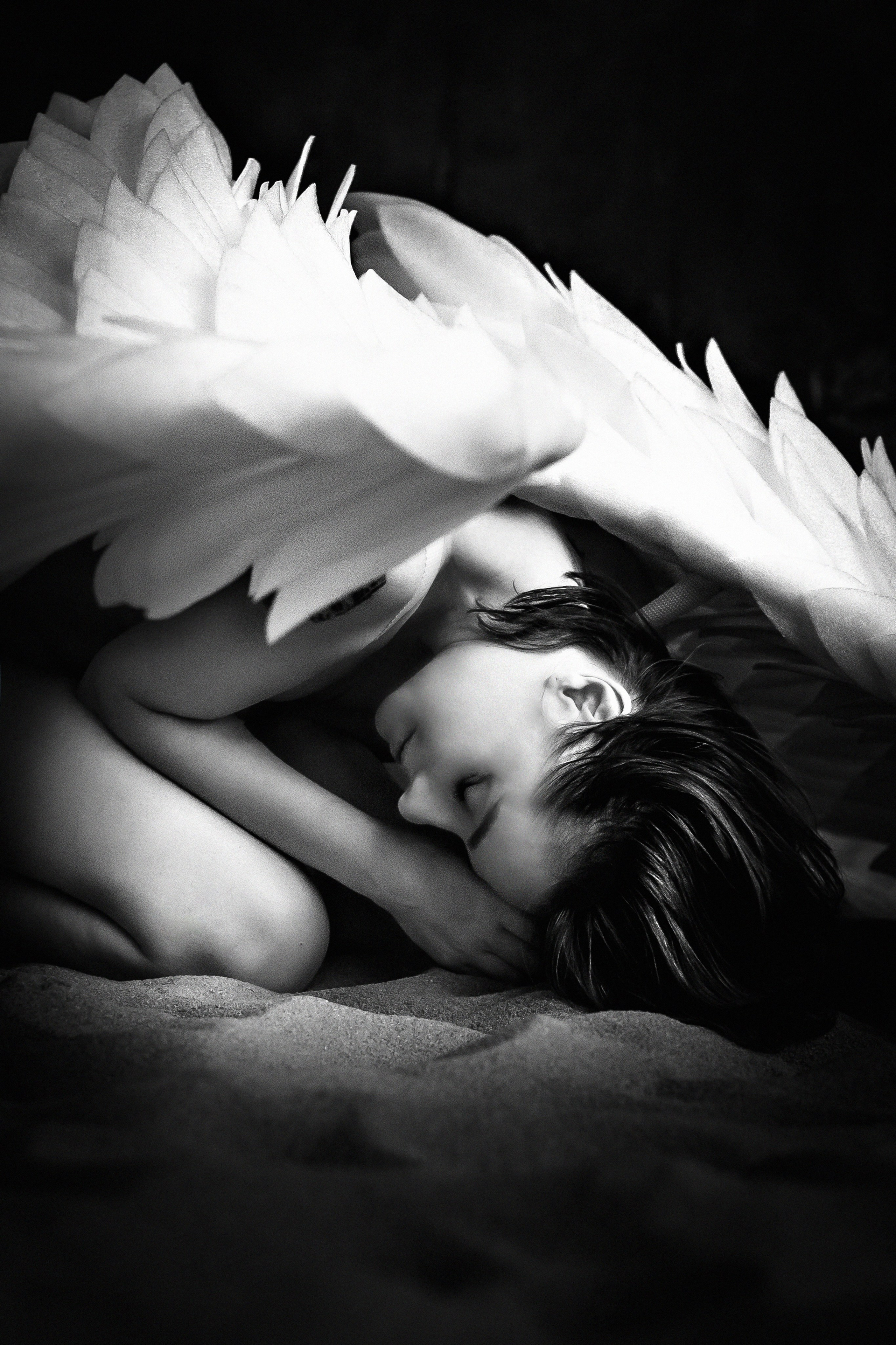 КРЫЛЬЯ. Фотомастерская «Птичка» творческие съемки. Москва и Санкт-Петербург