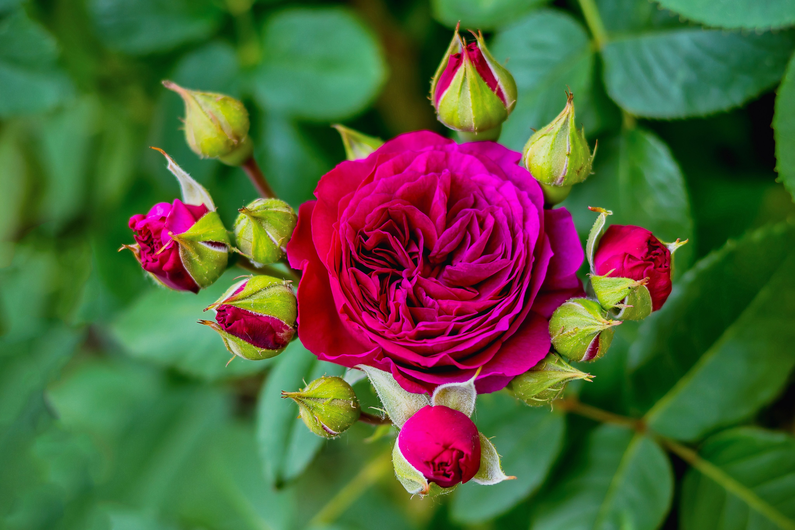 Наша мать — природа. Фотограф Владимир Артамонов