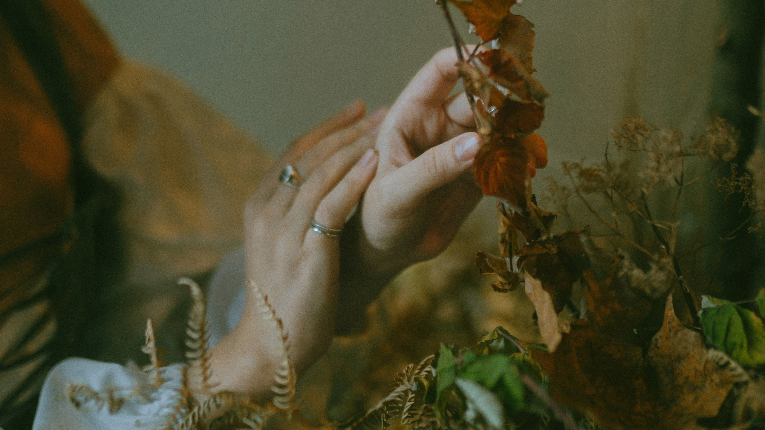 Лика. Портретный фотограф в Москве Ефанова Ульяна. Женский портрет