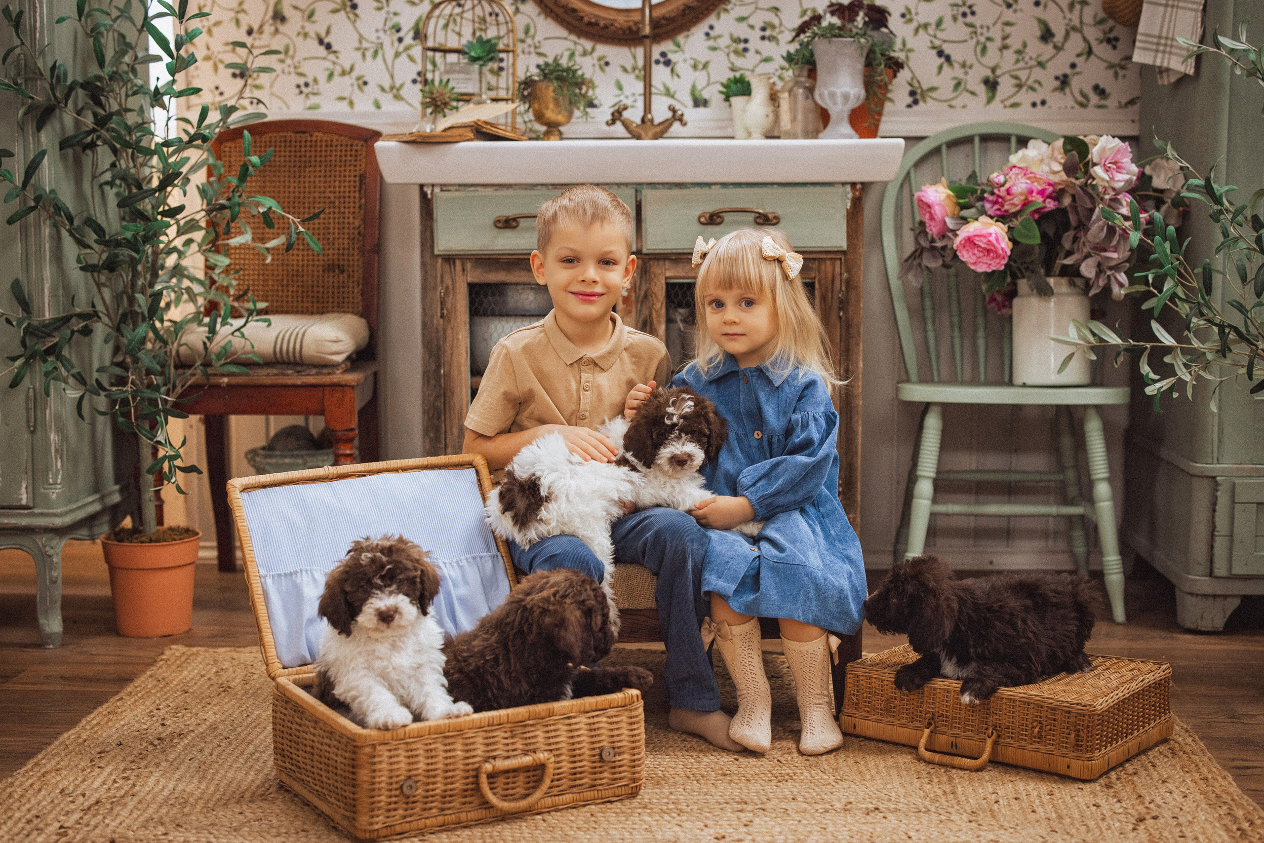 Фотосессия с щенками Лаго́тто-романьо́ло, в Винтажной фотостудии город Краснодар. Семейный и детский фотограф в Краснодаре Анна Трашкова