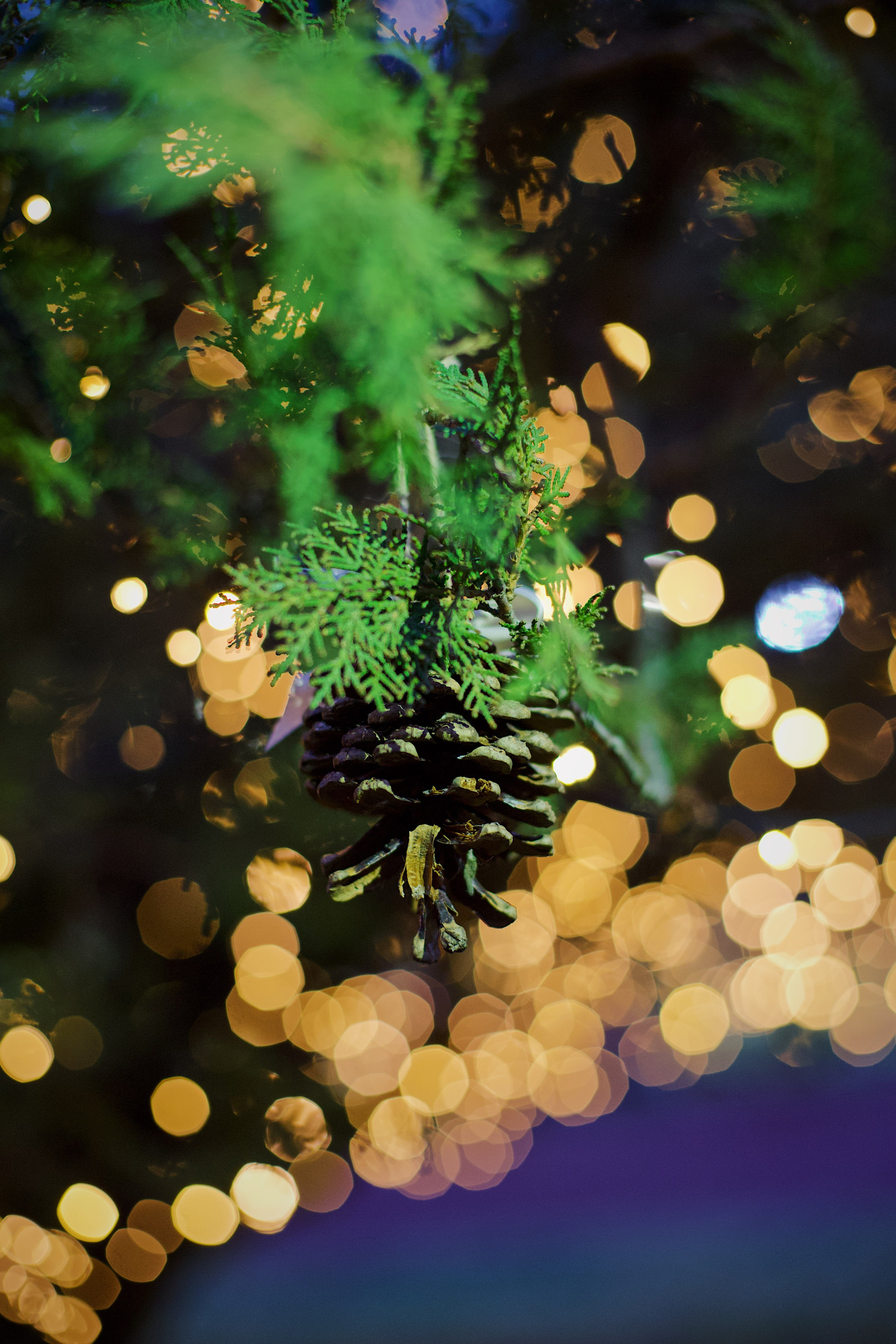 Christmas Tree opening in Dilijan city park. Фотограф в Армении Женя Гилевич