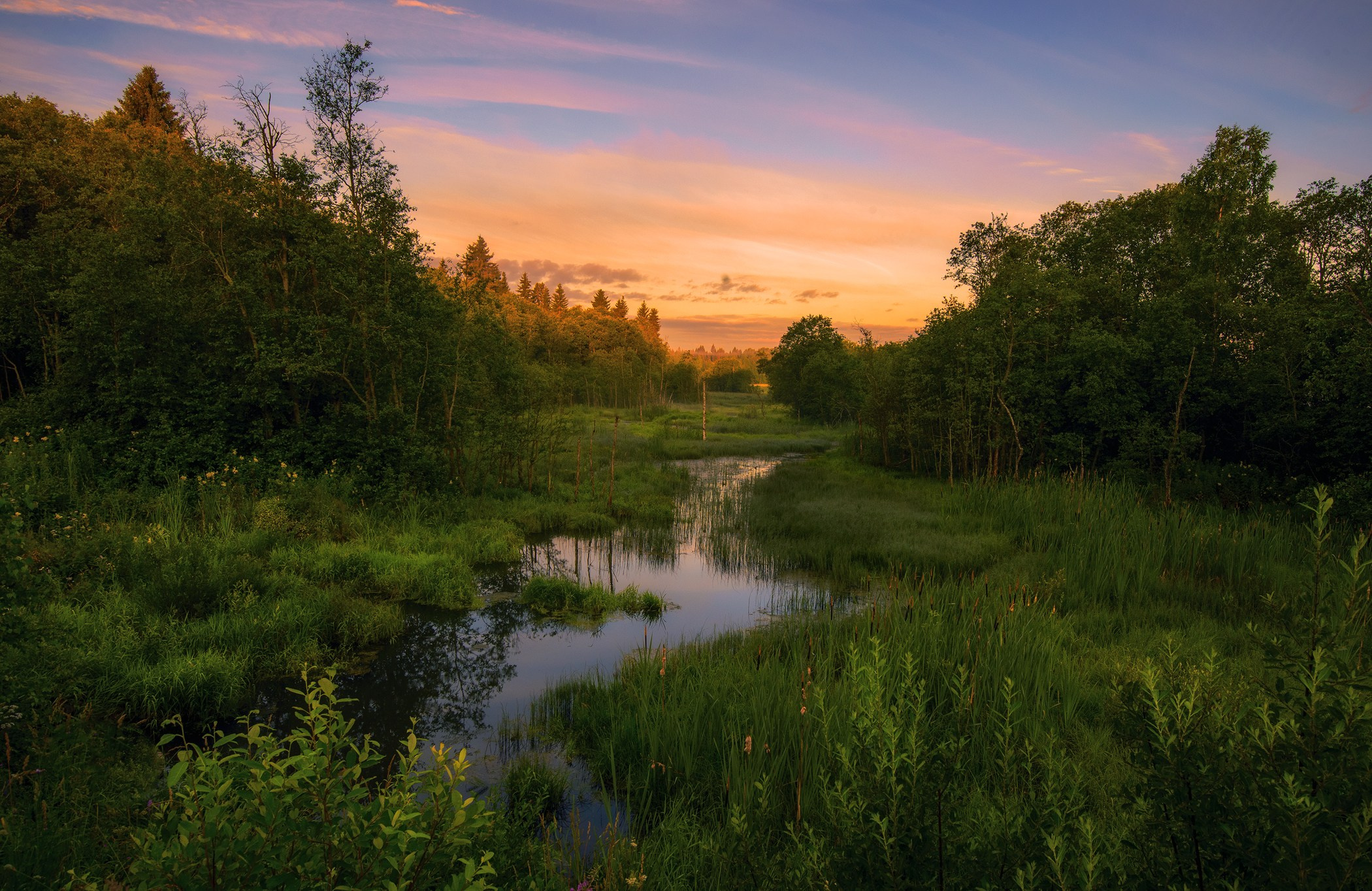 Volkovart.ru forest landscapes. Volkovart.online nature photography