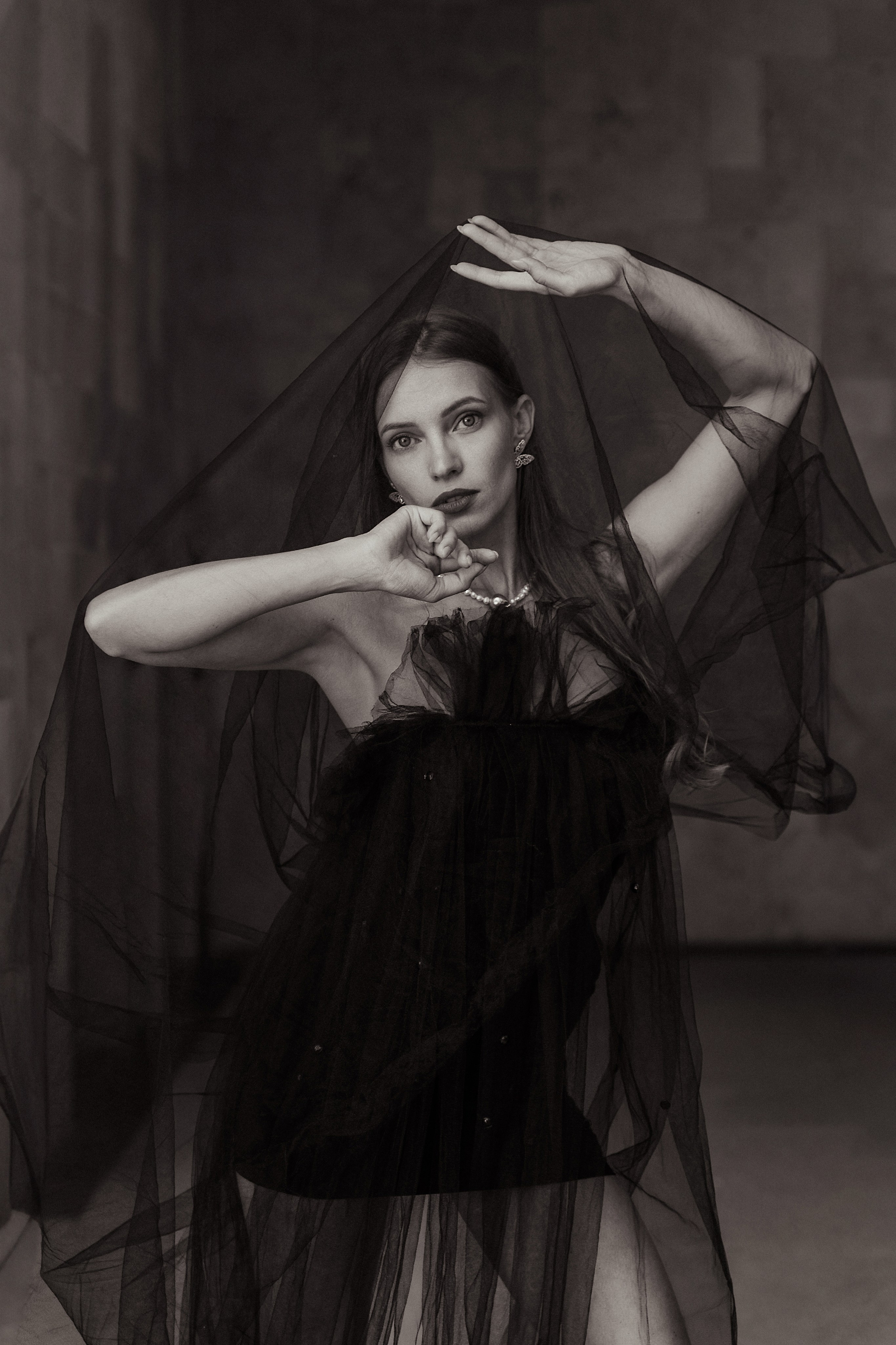 Черный лебедь. Фотограф Тимофеева Любовь