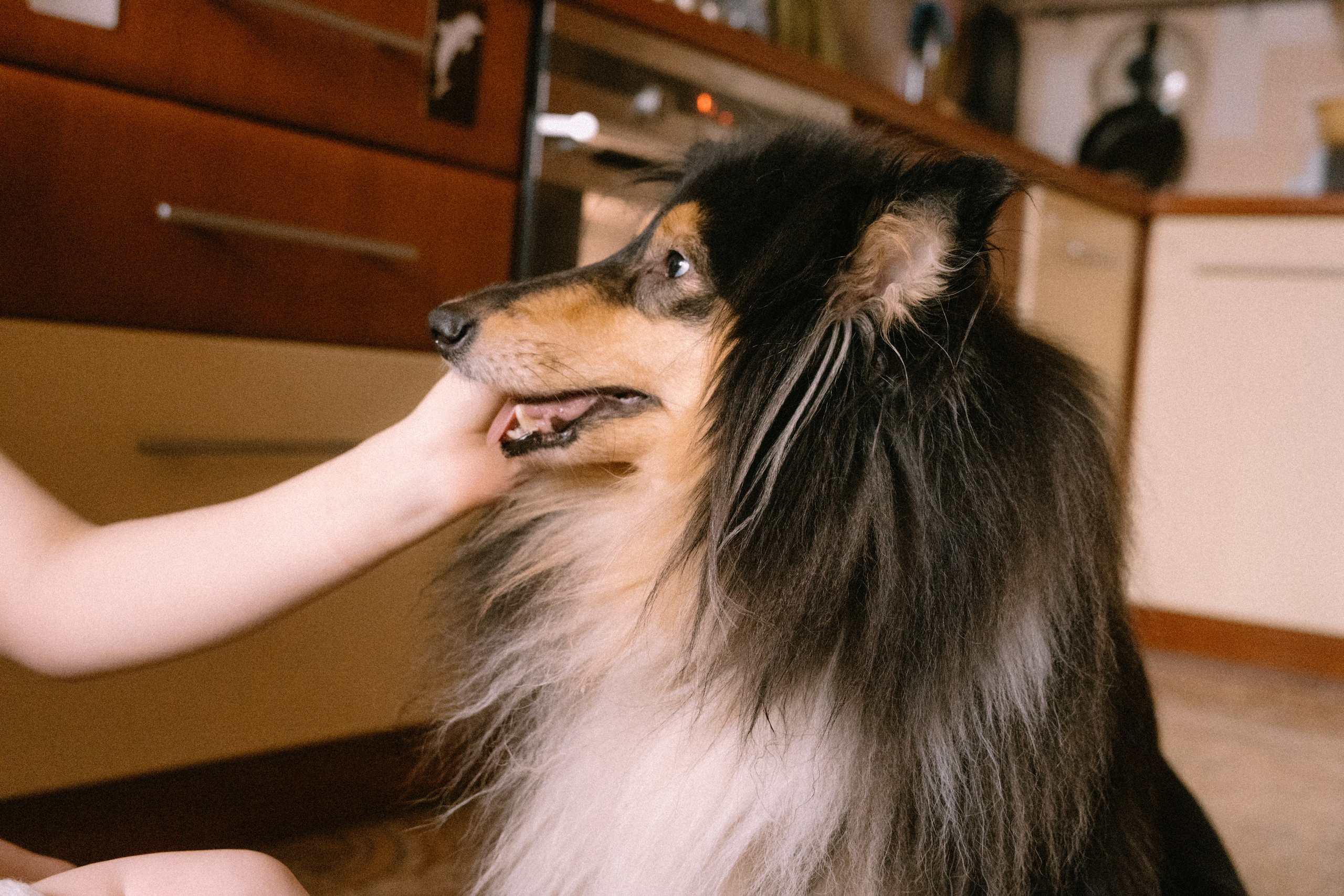 Мама+малыш домашняя серия. Alenasokolowa.ru