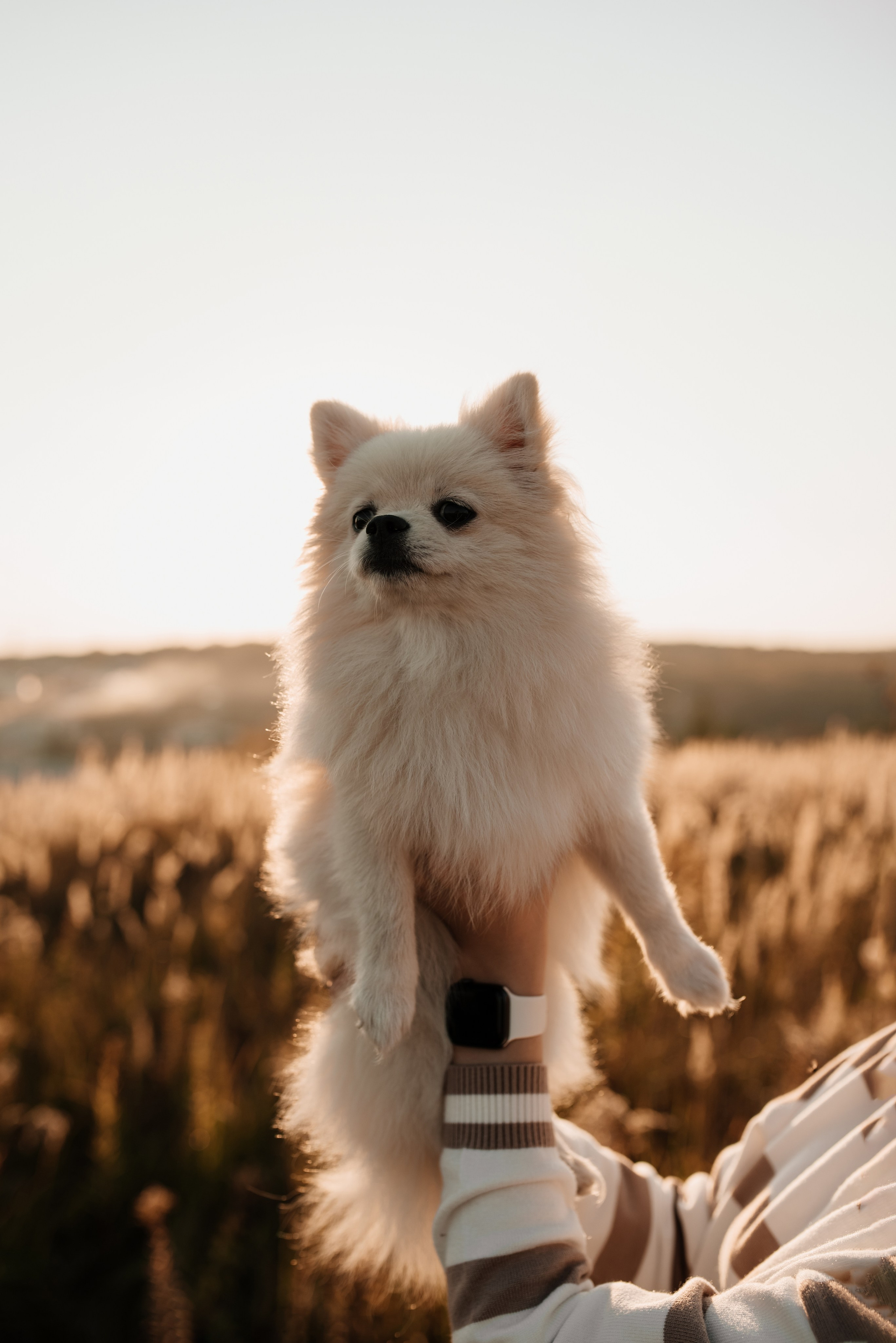 Наташа ♡ Женя. Фотограф Ольга Плеханова | Нижний Новгород, Москва