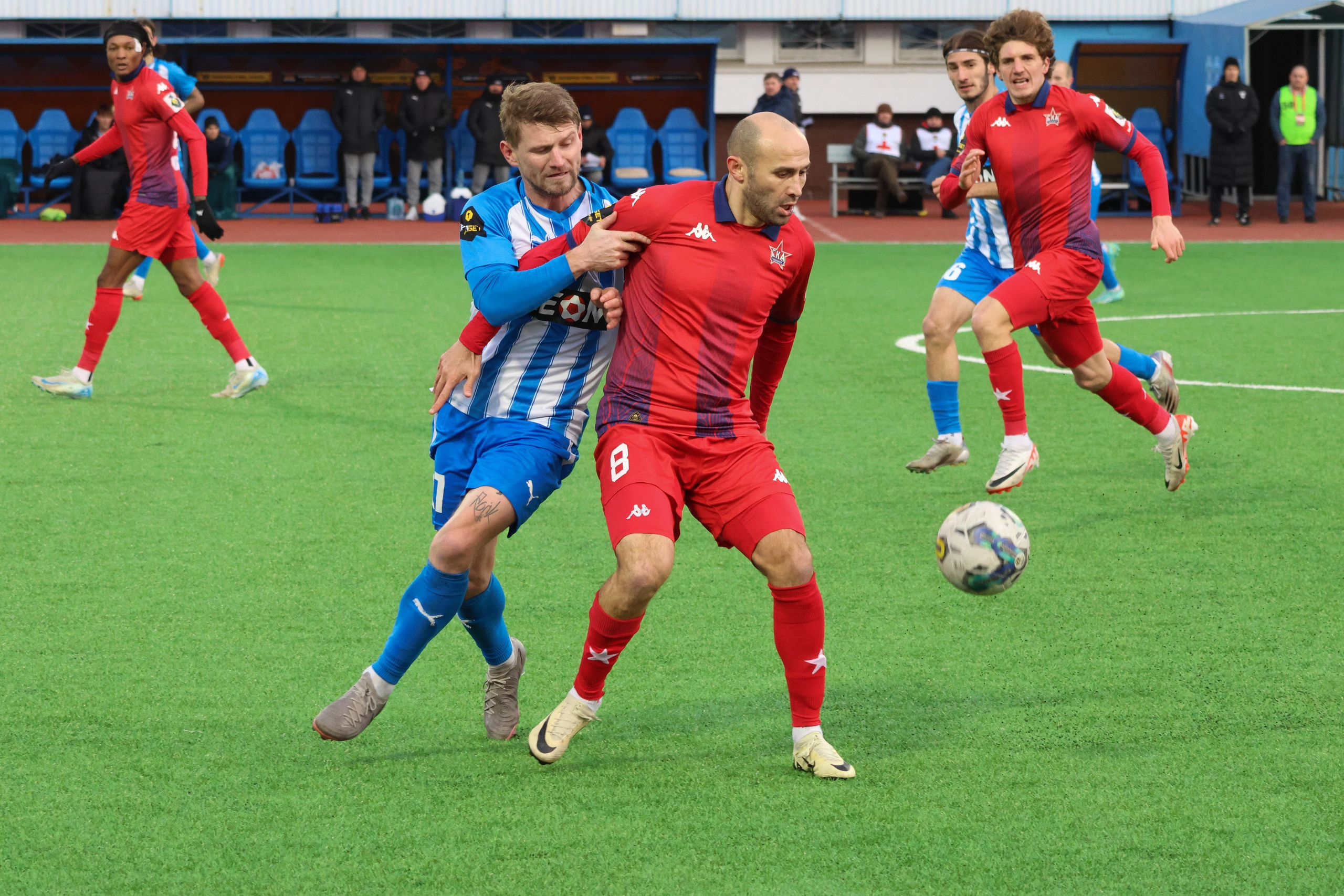 Сокол. ФНЛ. Фотограф Дмитрий Алексеев