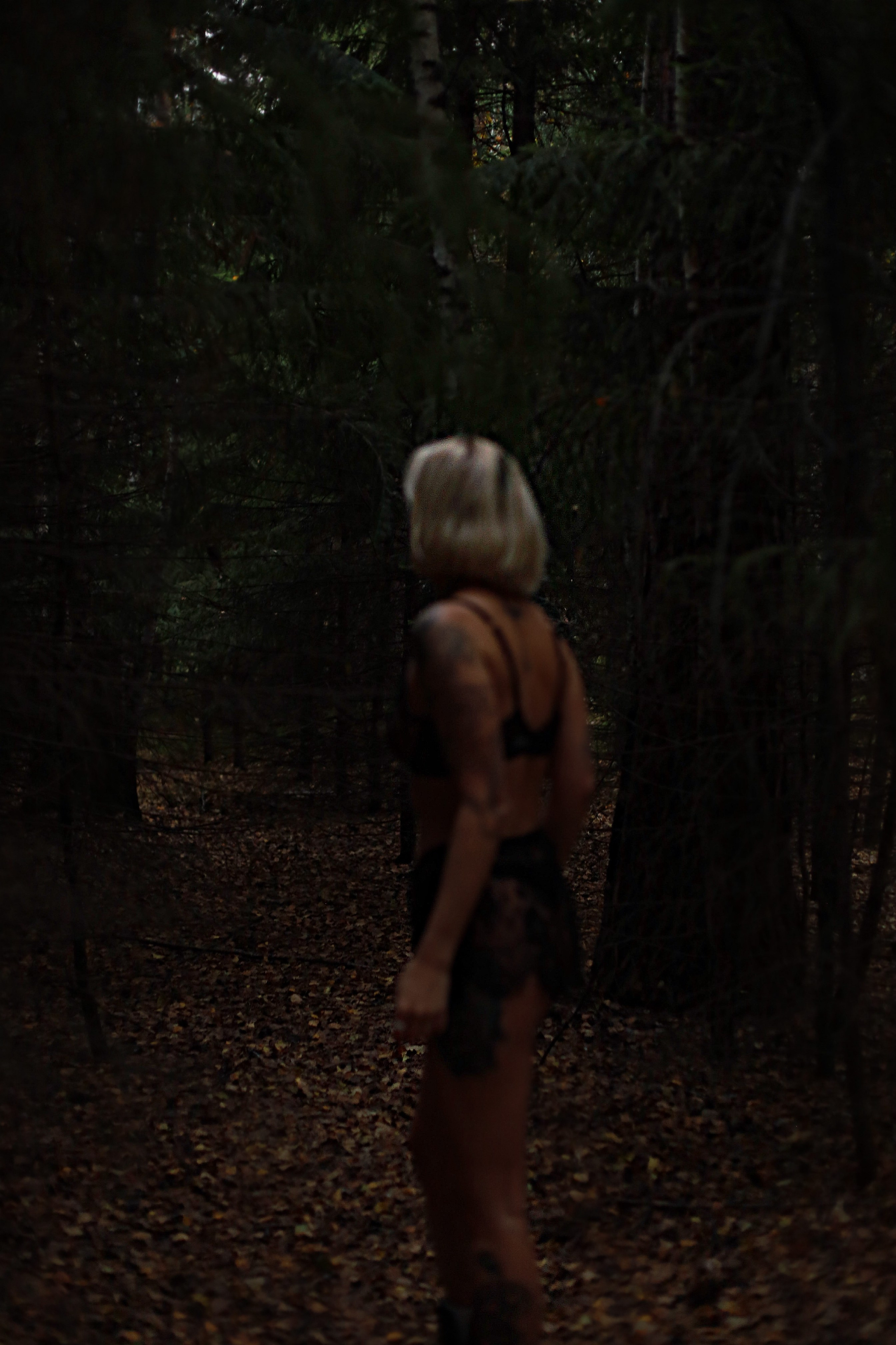 Галерея. С ⁐ Ф Ь Я визуальный артист — фото видео декор графика