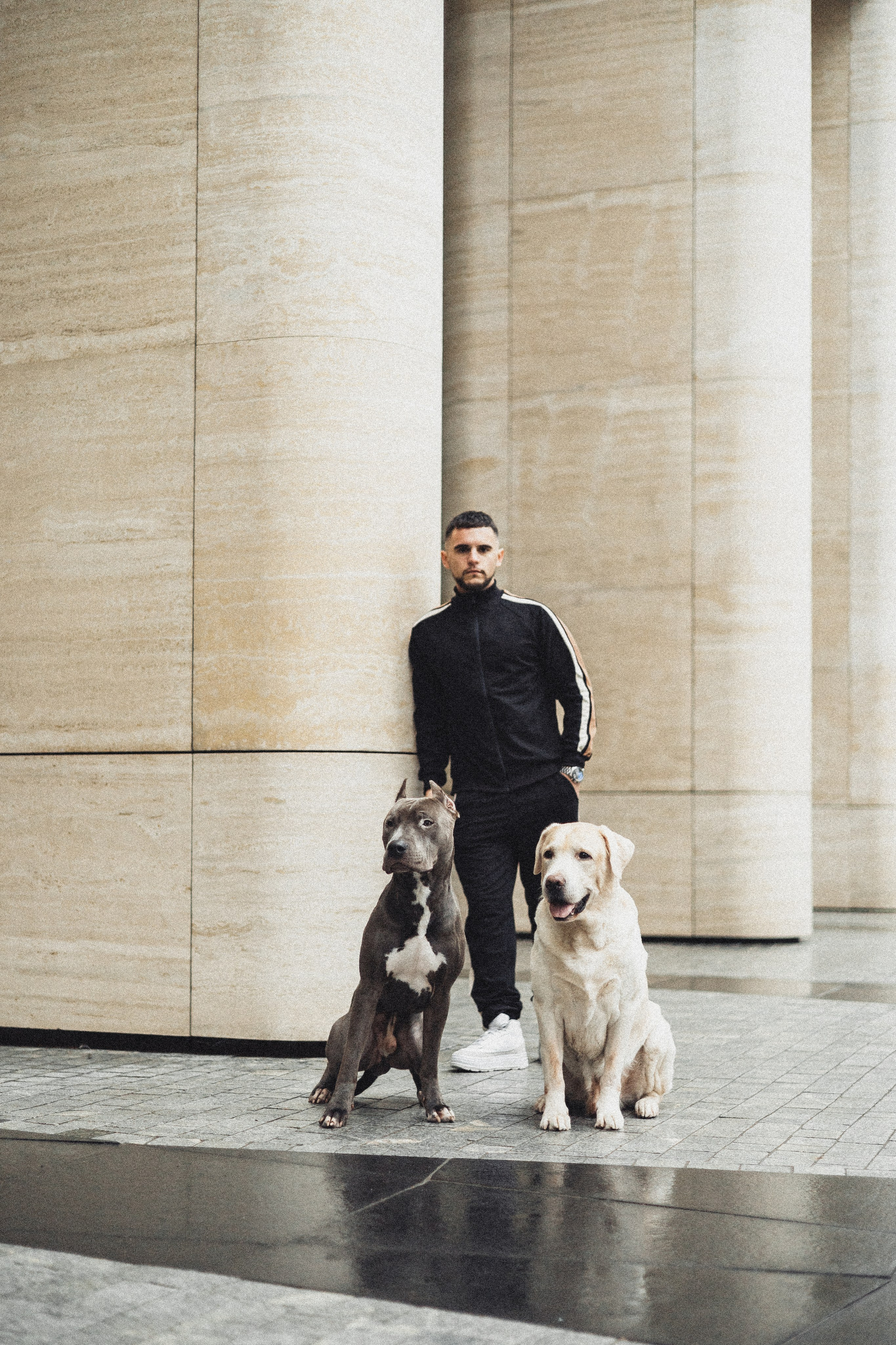 Фотопрогулки. Фотограф для людей и их питомцев Вика Шальнева