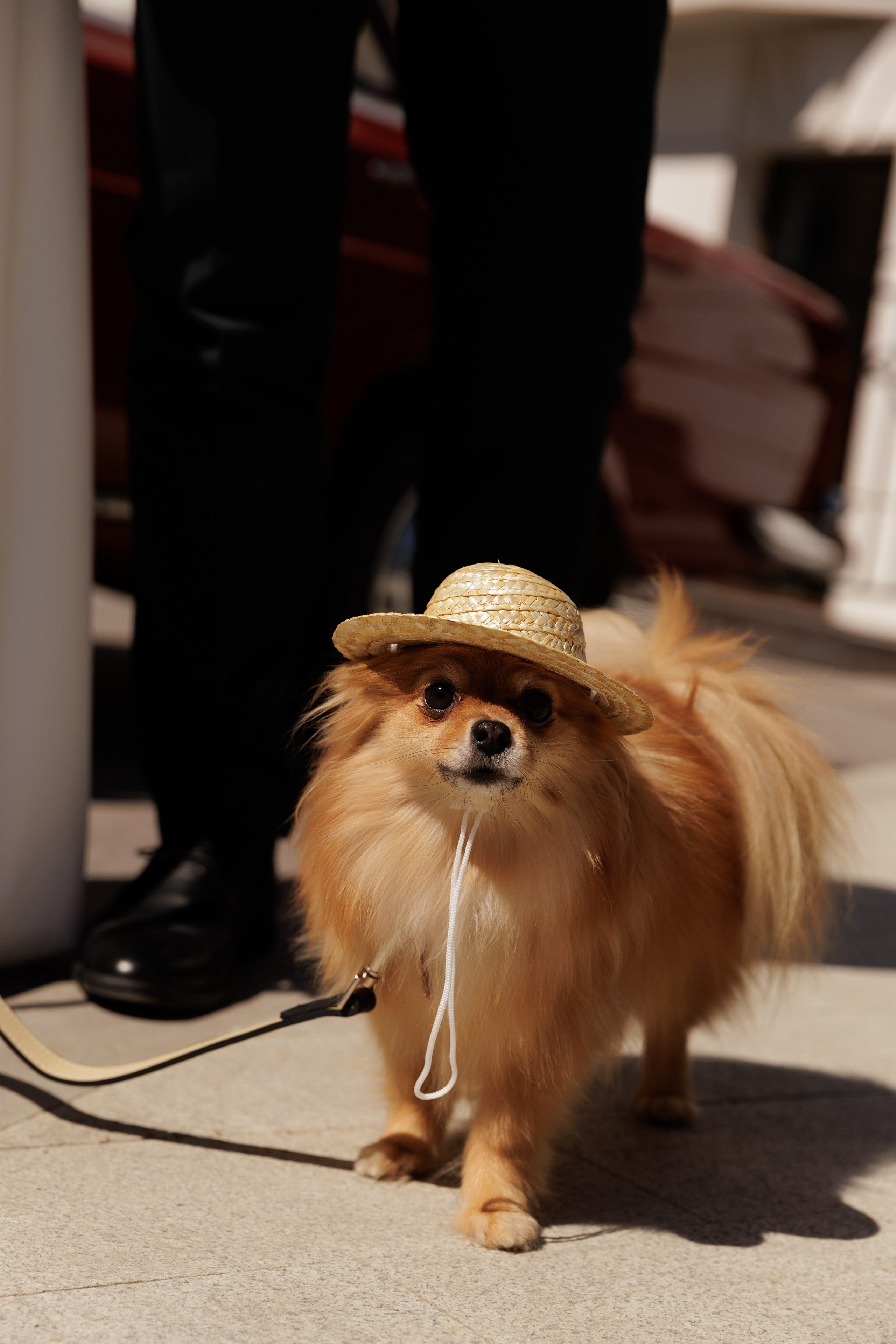 Елизавета и Леонид. Свадебный и семейный фотограф Егорова Юлия