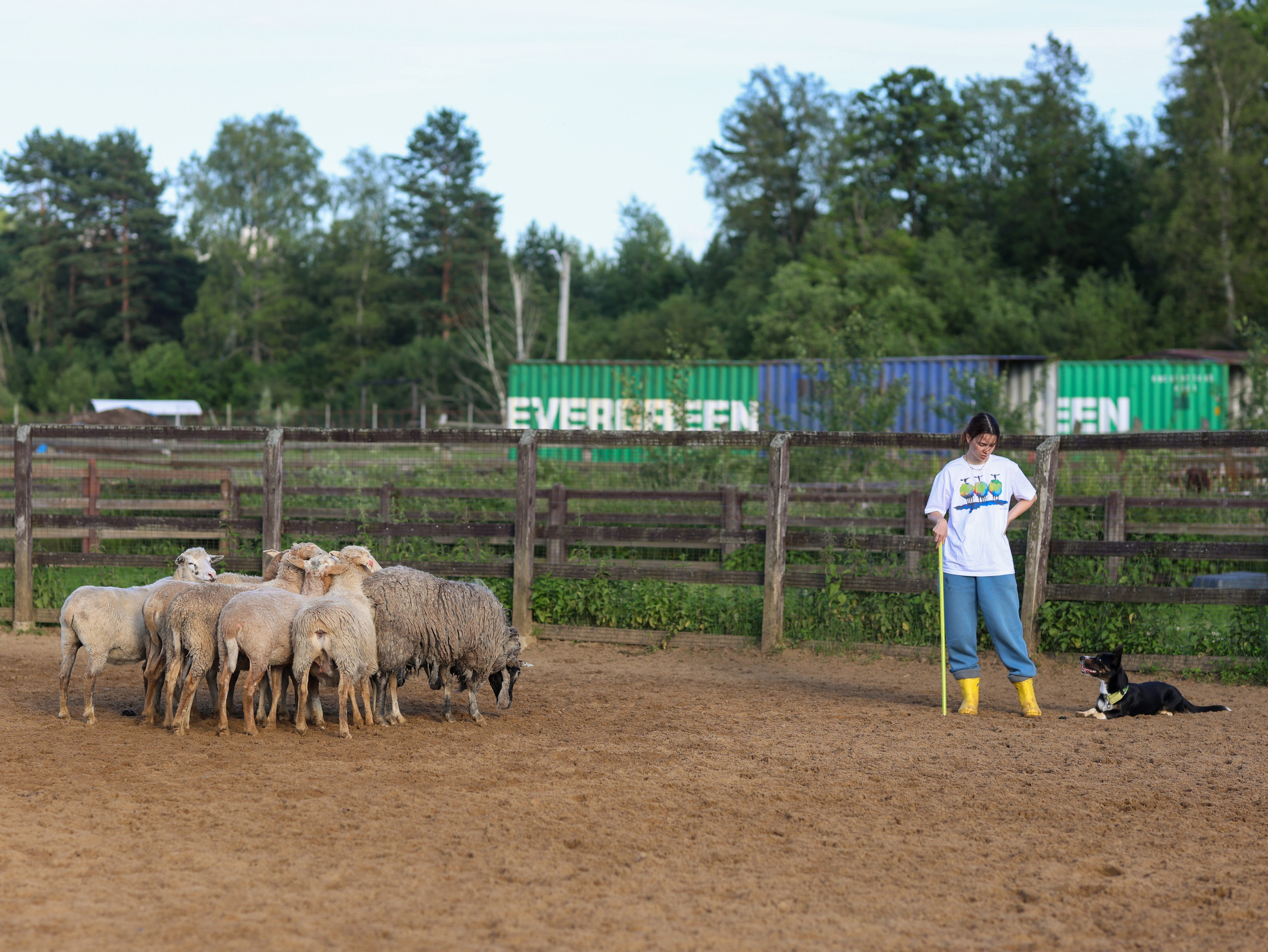 Пастьба. Фотограф-анималист в Москве Кириллова Татьяна