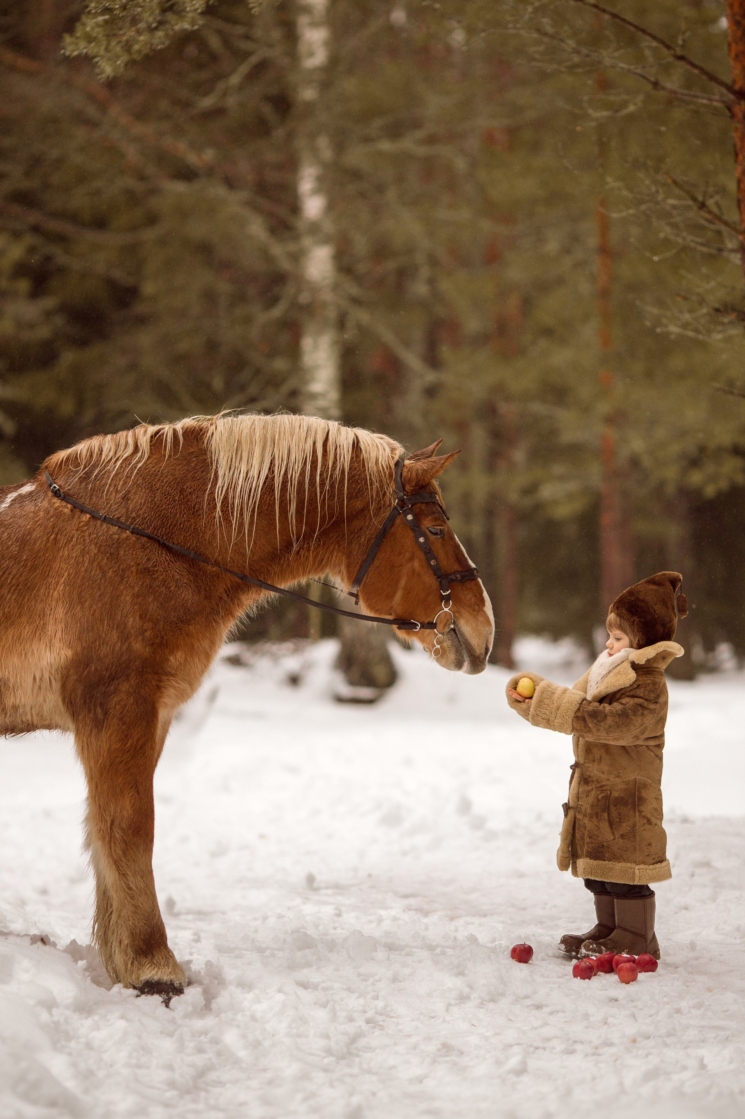 Фото мальчика и лошади зимой