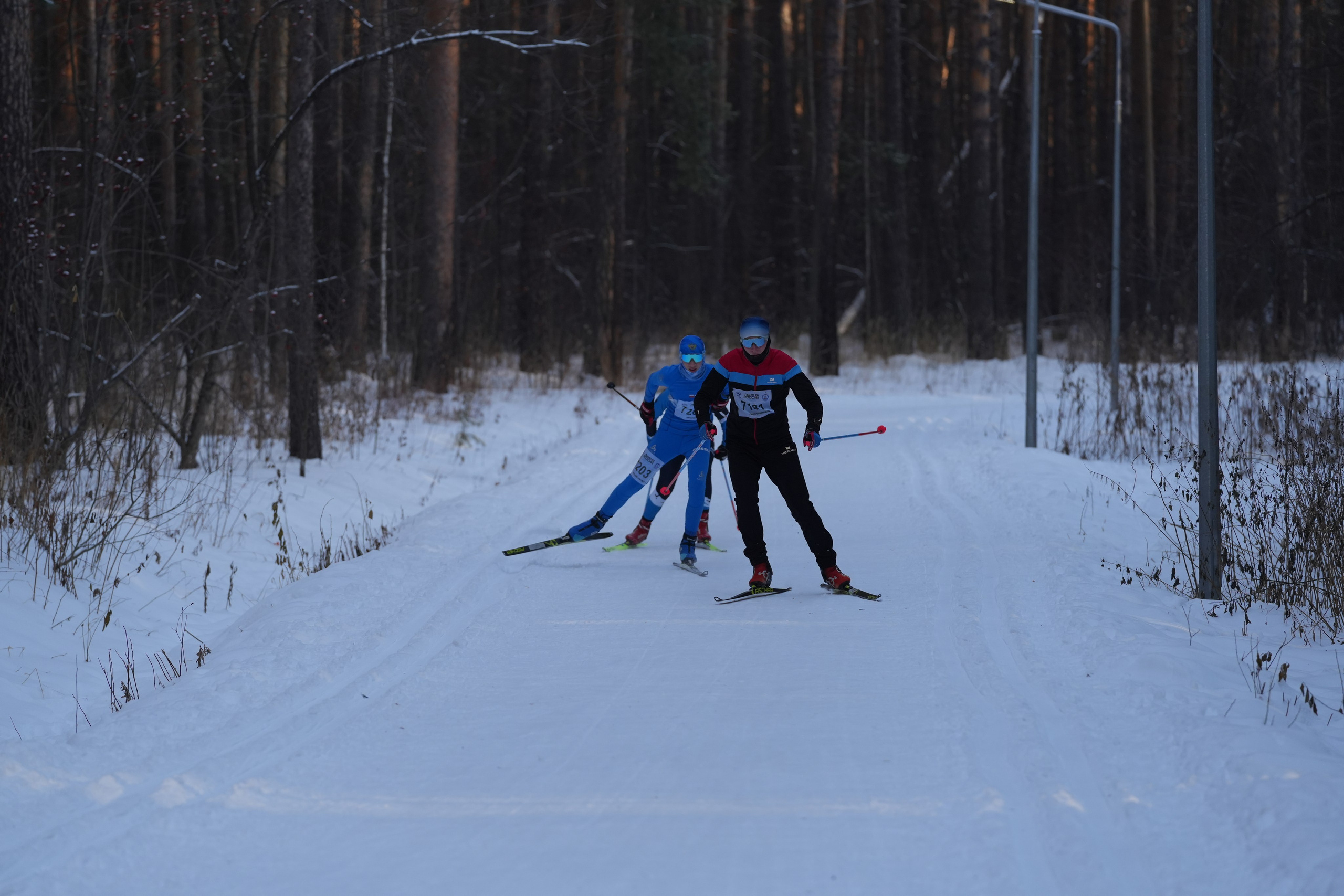 Лыжня России 2025. Фотограф в детский сад в Екатеринбурге, выпускные альбомы Юлия Умерова
