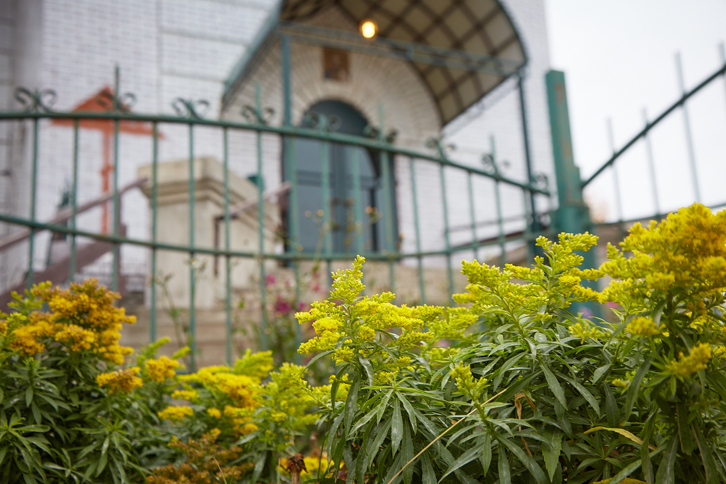 Kotor Wedding Photographer – Capture Every Moment Beautifully. Photographer in Montenegro | Фотограф в Черногории