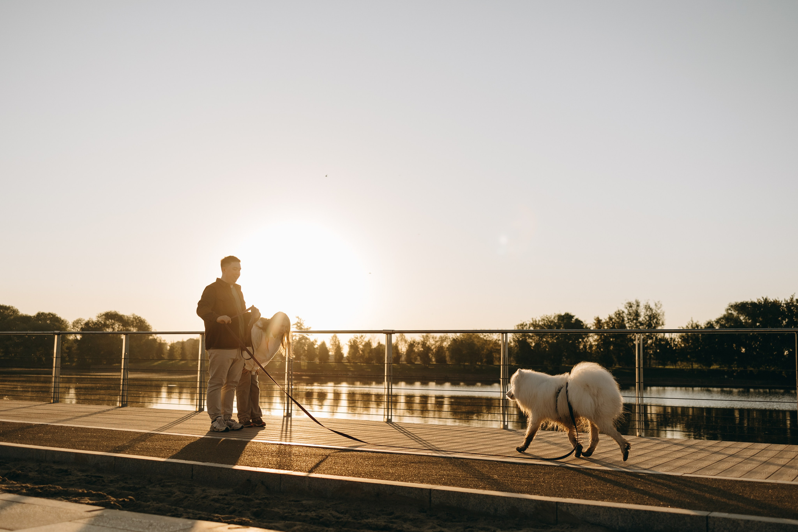 Танго и его семья. Фотограф — Анималист | Санкт-Петербург