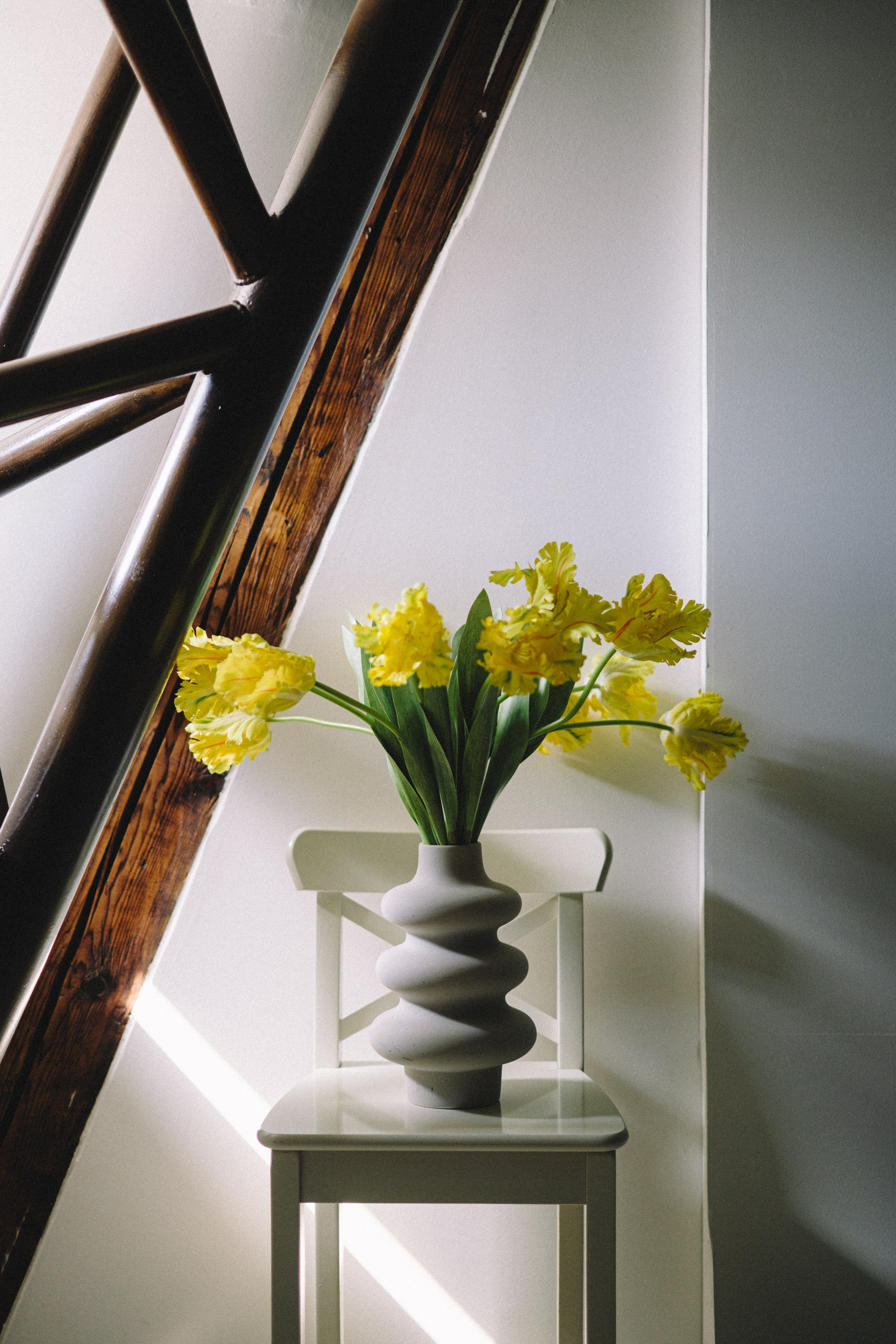 Scenografije i rekviziti. Studio GOBO