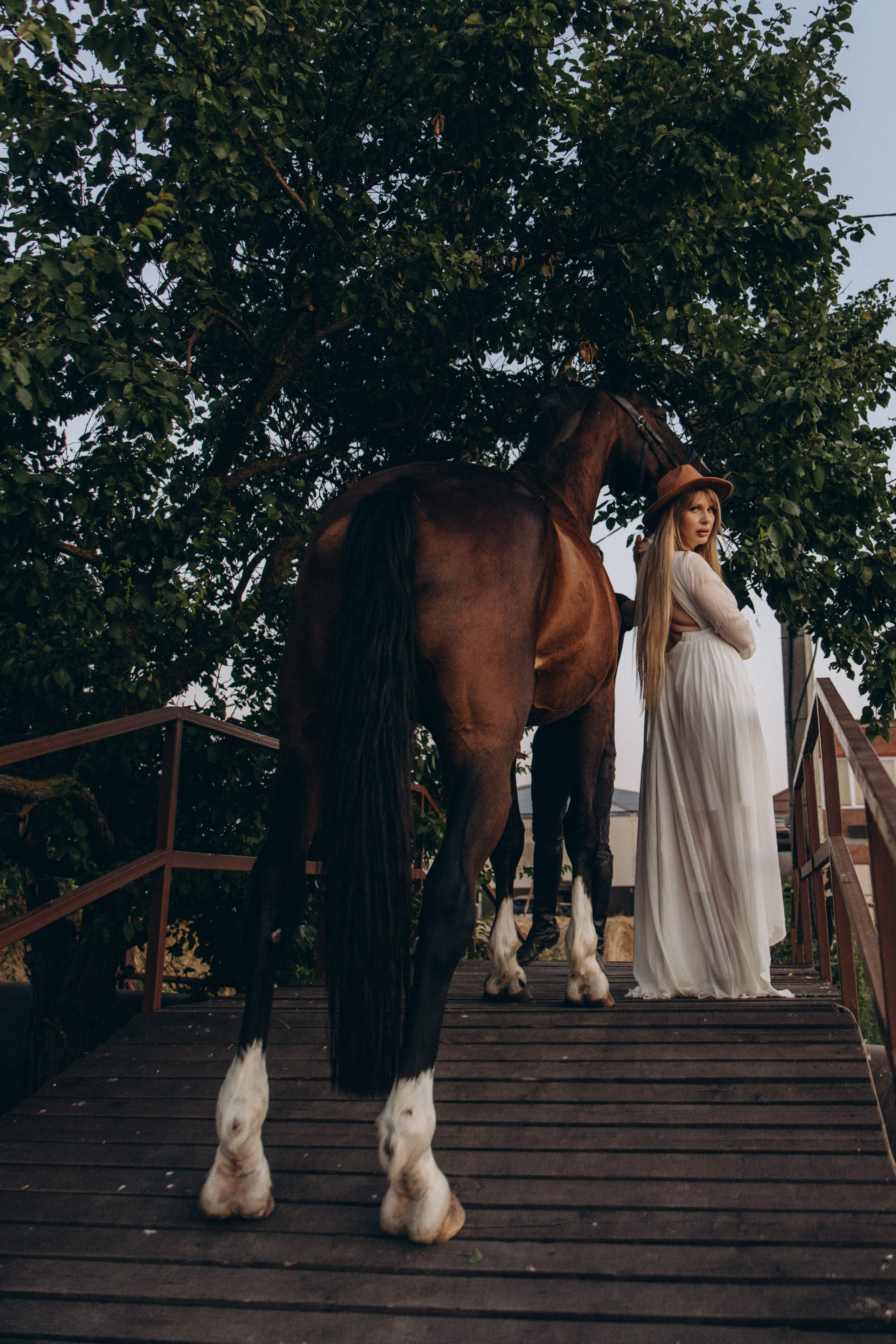 Белла. Lifestyle photographer Liza
