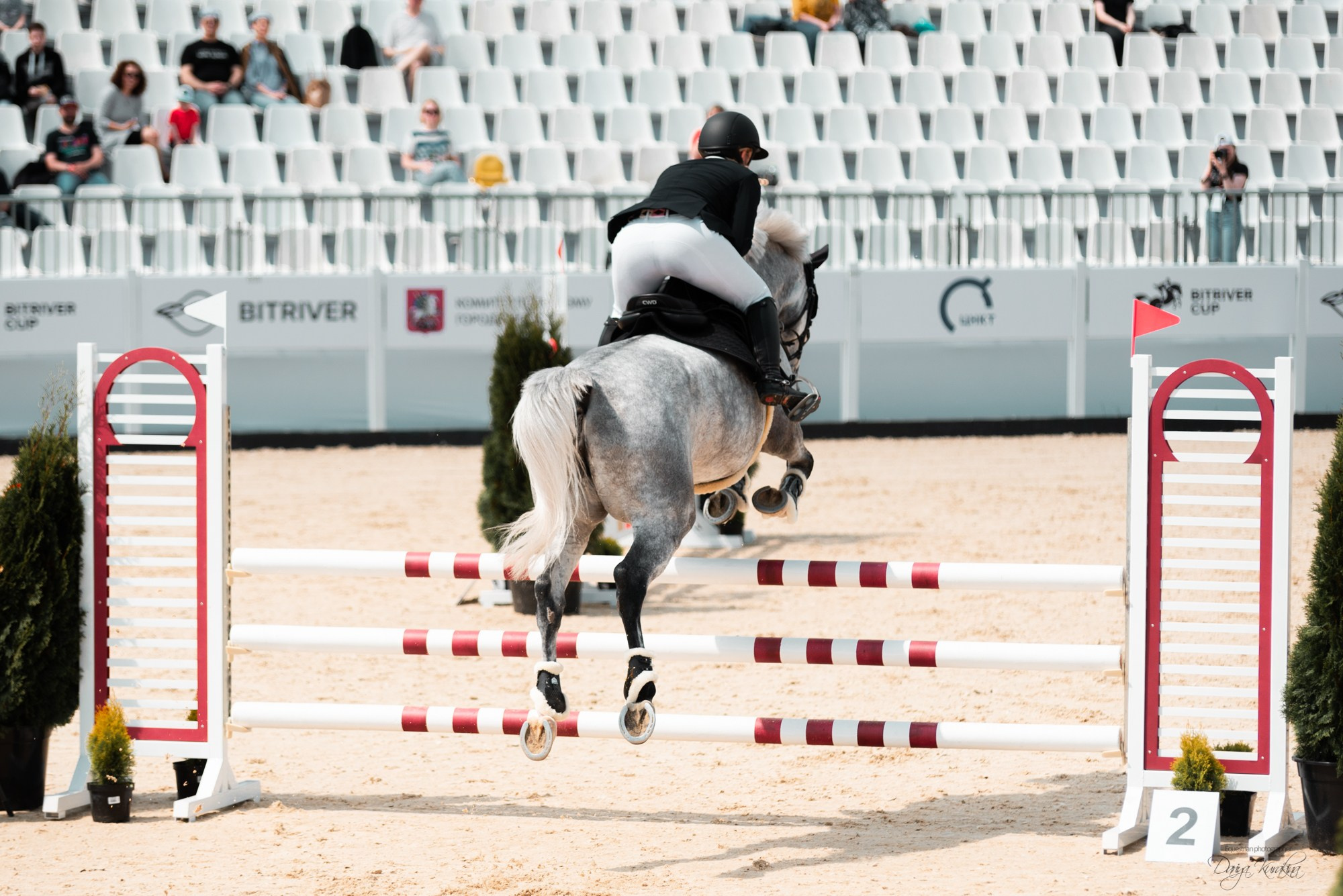 BITRIVER CUP 2023. Конный фотограф Куракина Дарья • Фотосессии с лошадьми