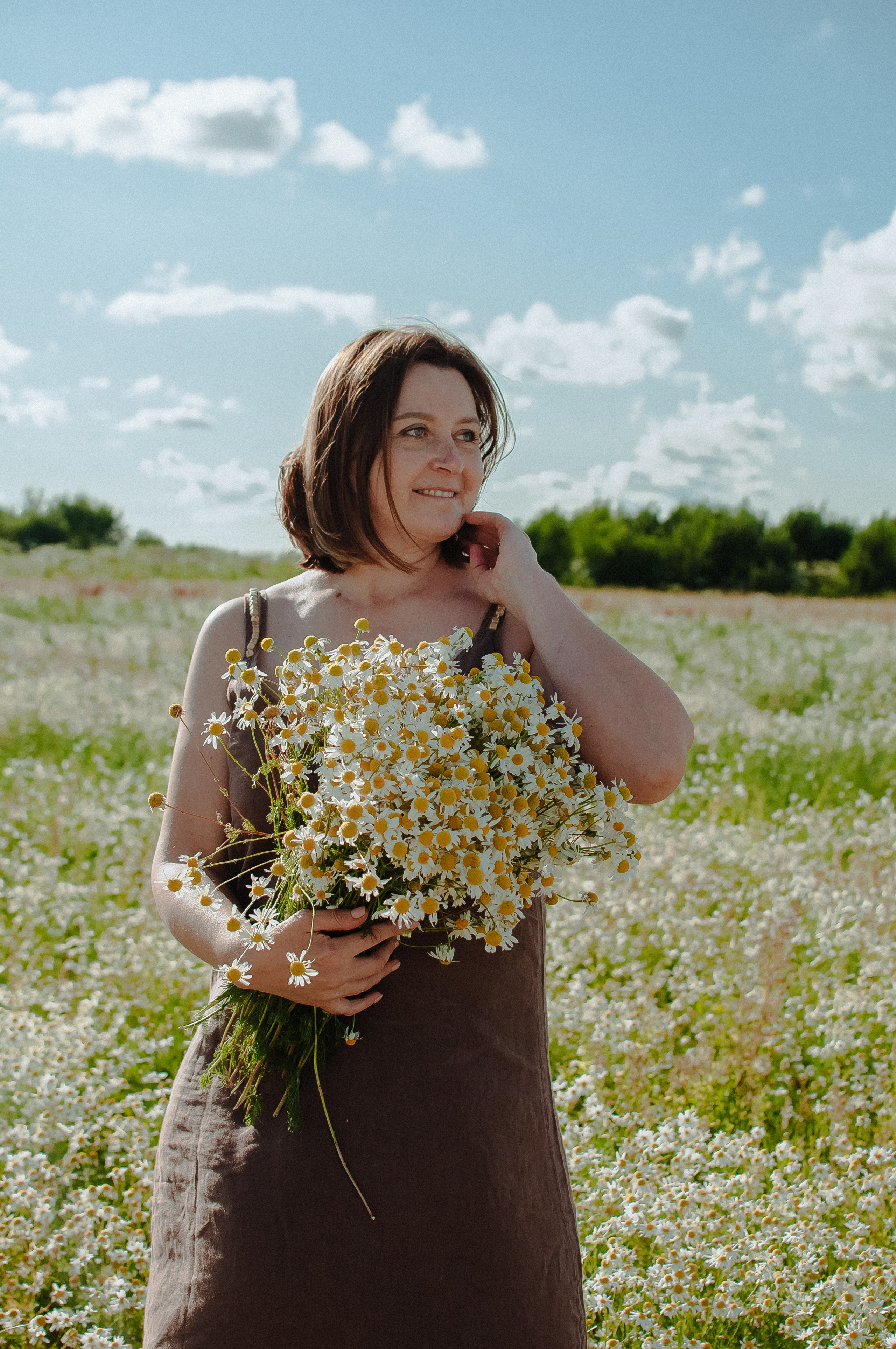 Привет ромашки