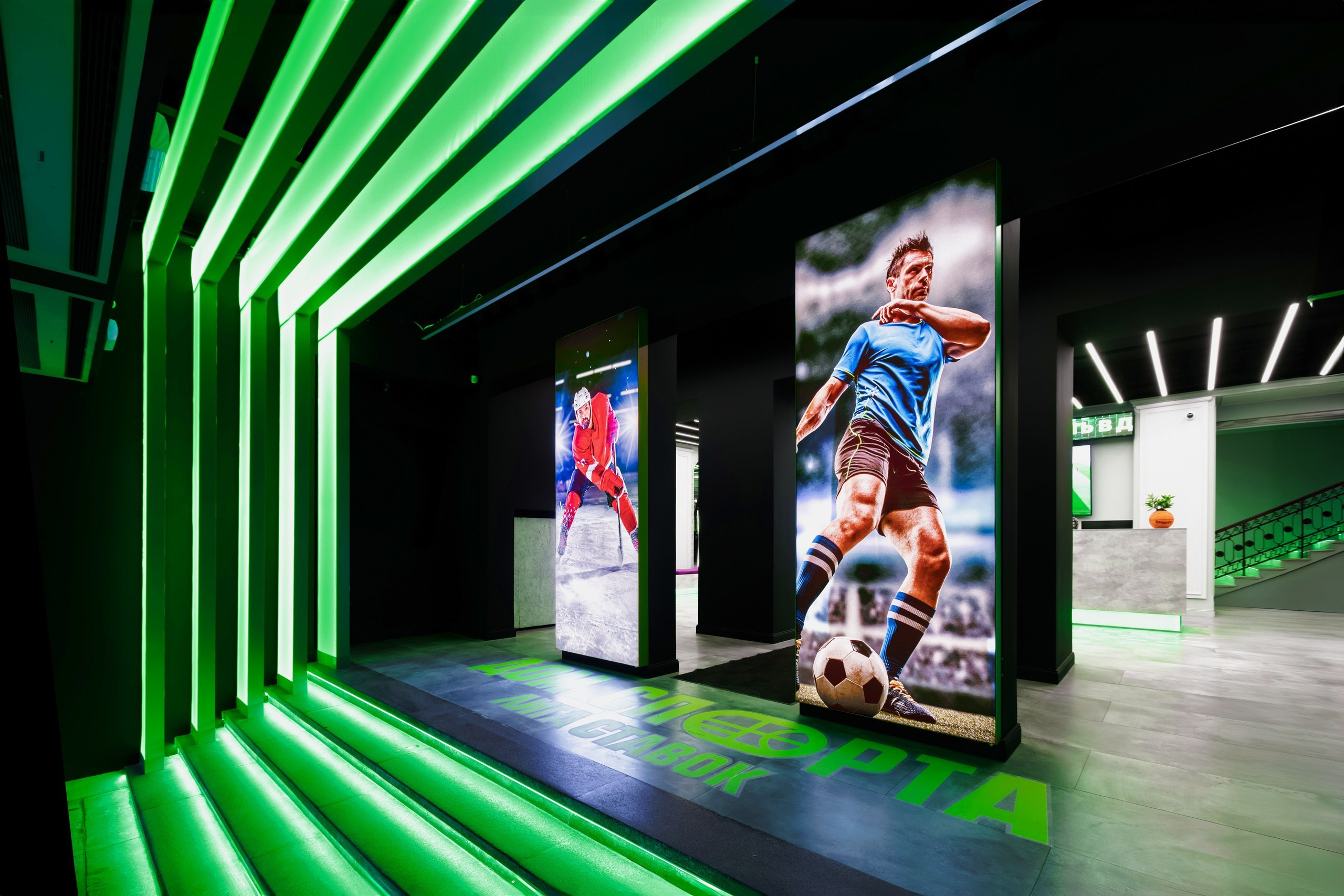 Лига Ставок. Night2Day Санкт-Петербург