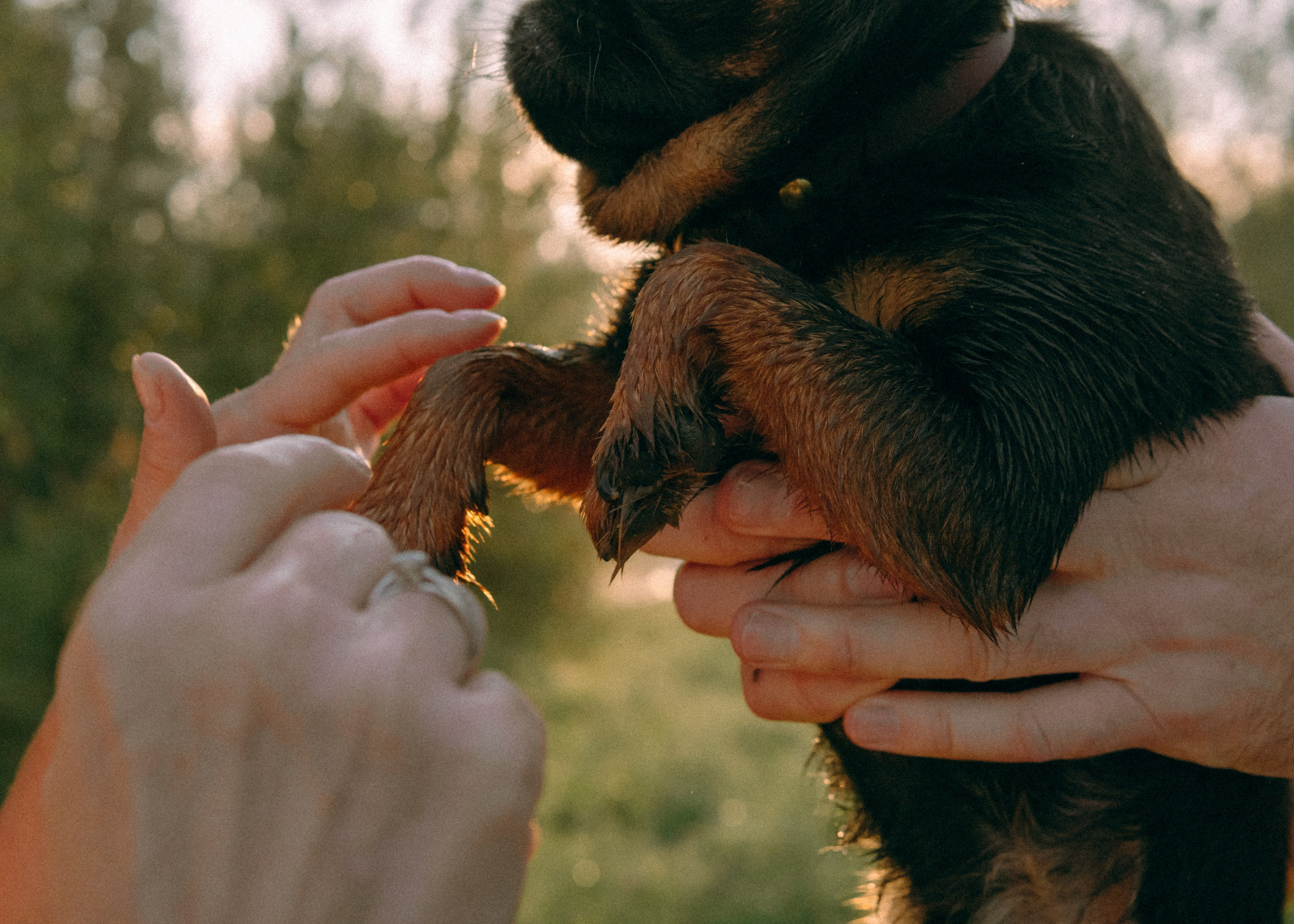 Оксана, Кирилл и Кеша. Фотограф-анималист Ксения Воробьева, Москва