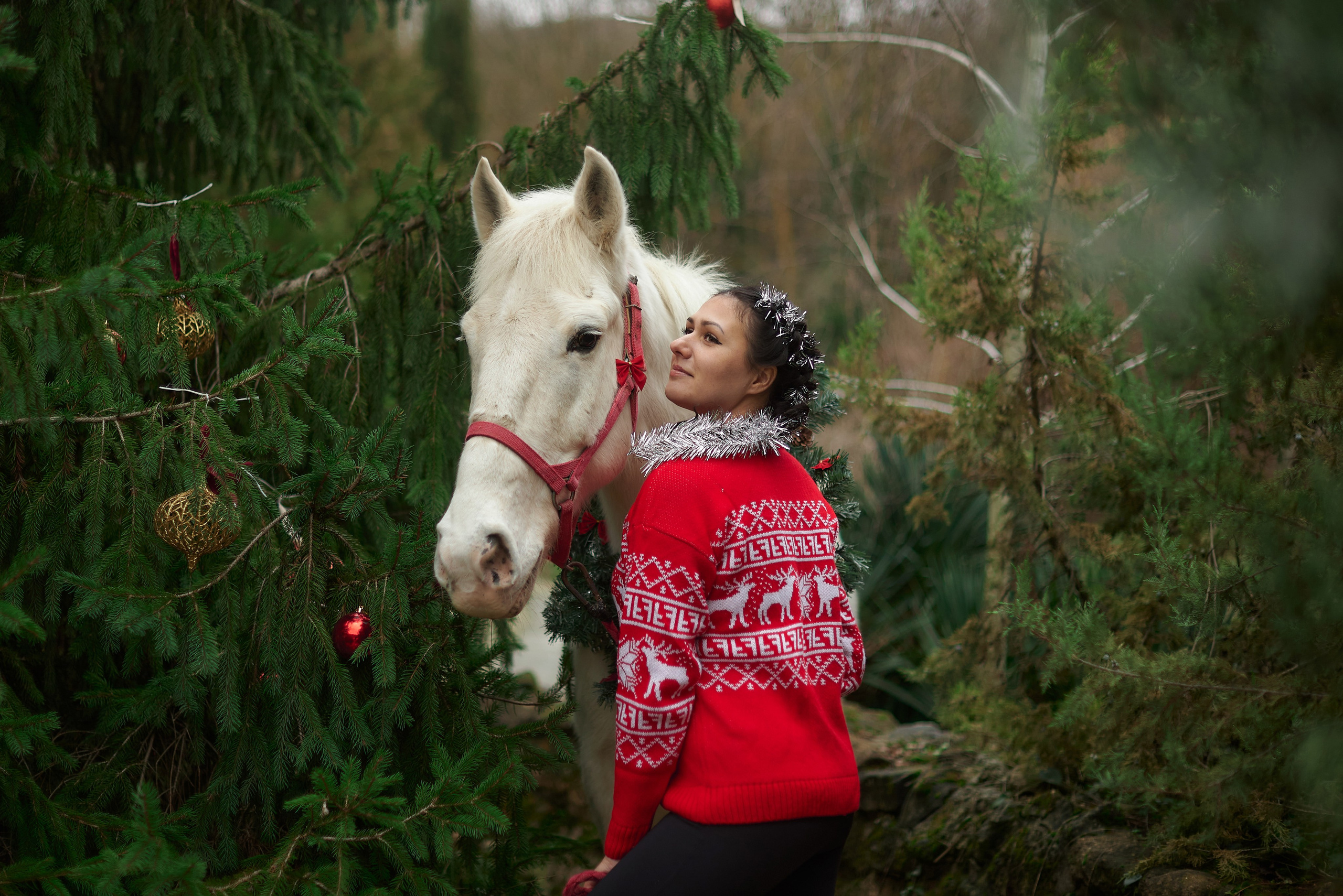 Диана, Гром и Мандаринка. Фотограф в Севастополе
