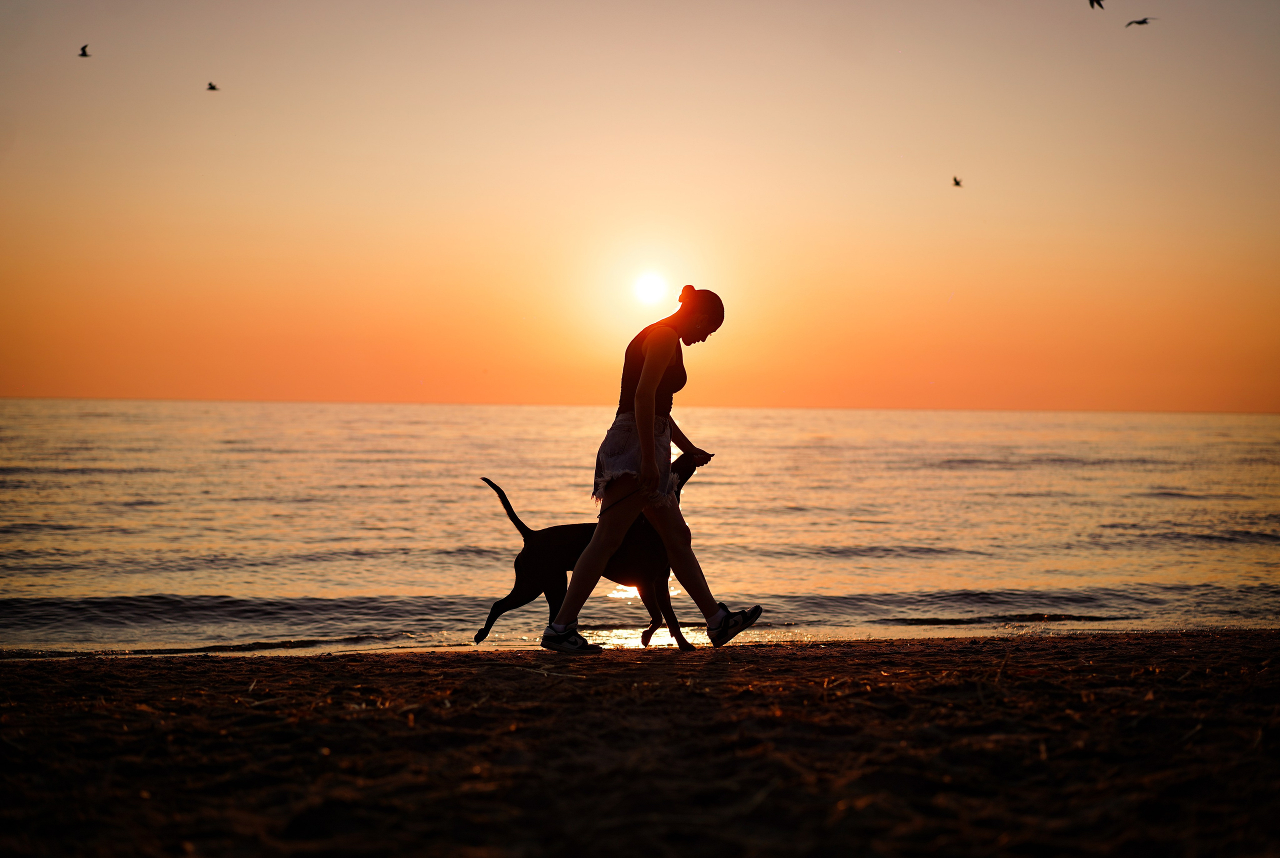 Вероника и Адам. Фотограф-анималист в Санкт-Петербурге Яна Мартынова