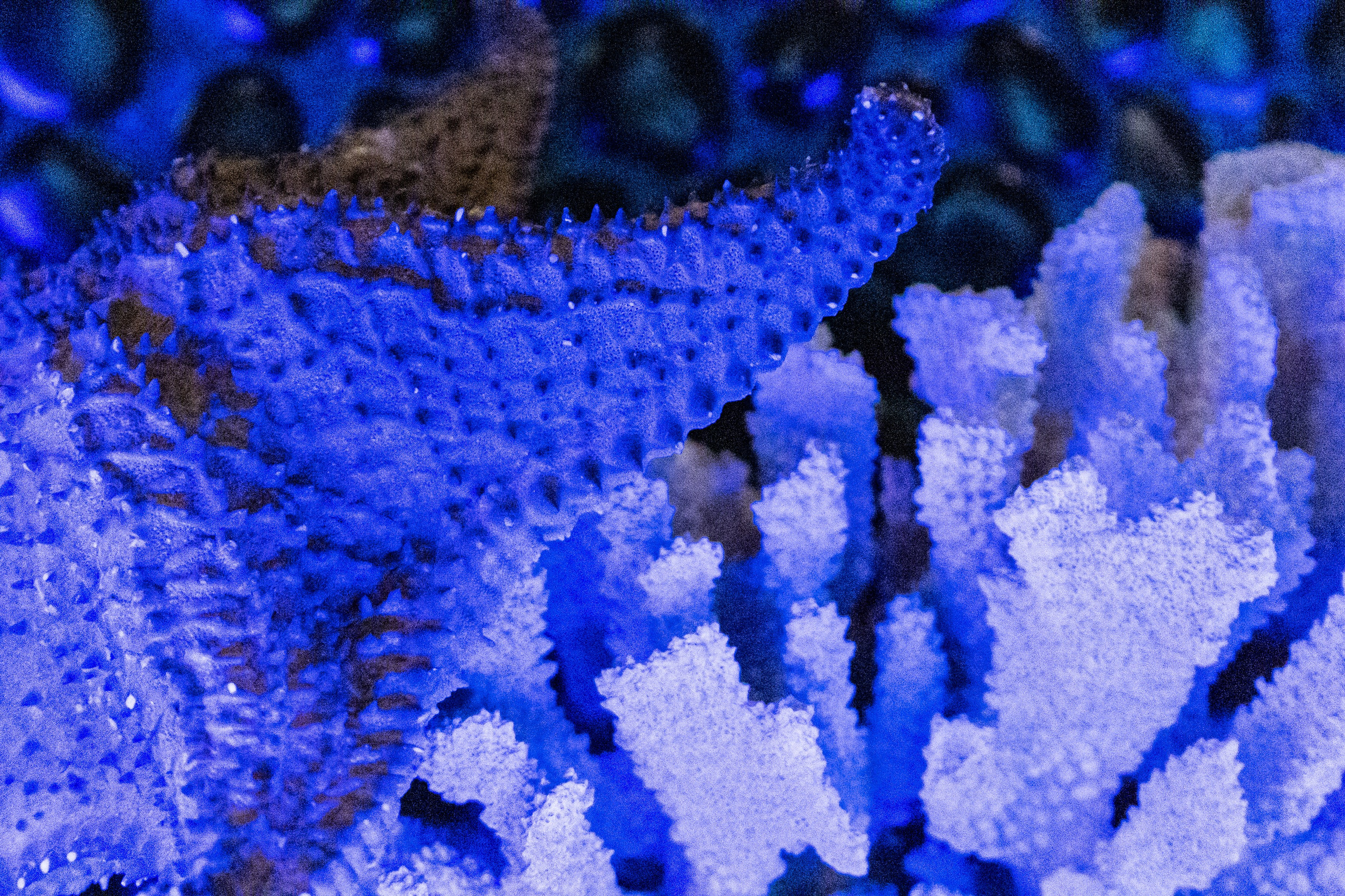 Детали. Свадебный Фотограф в Иркутске Екатерина Елисеева